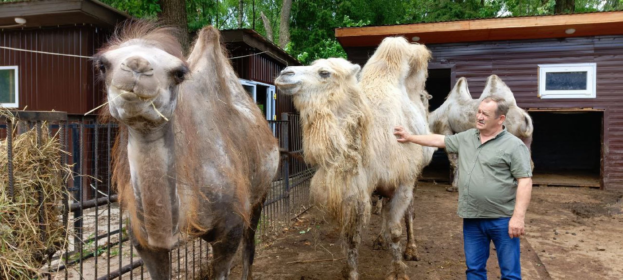 Дмитров, Центр реабилитации животных,