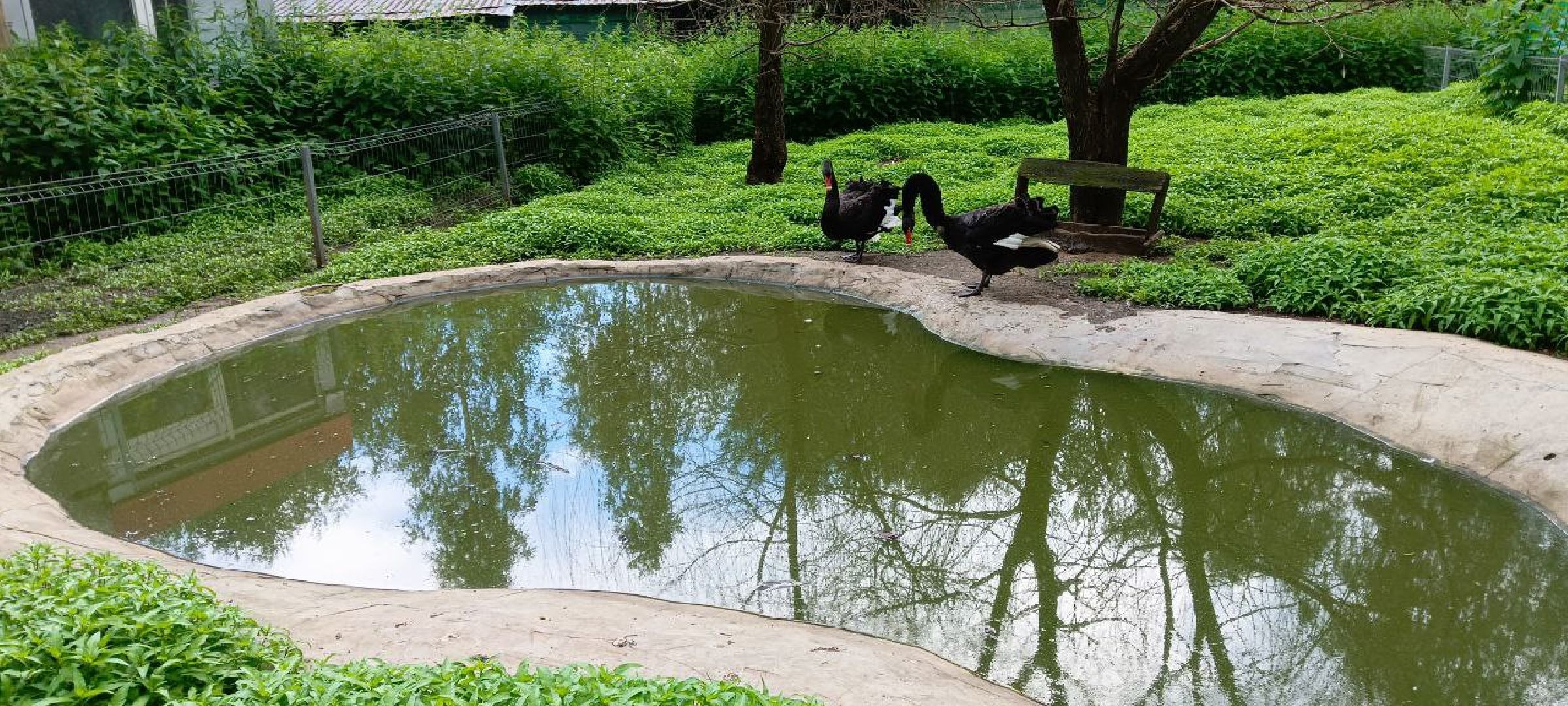 Дмитров, Центр реабилитации животных,