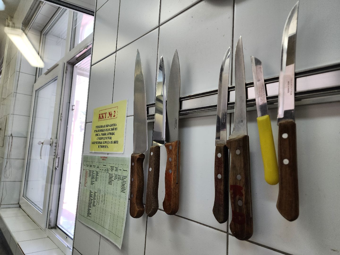 мониторинг лагерей, пришкольный лагерь,ленинский городской округ, видное, школа 9, школа 10, дети, образование ленинский округ,