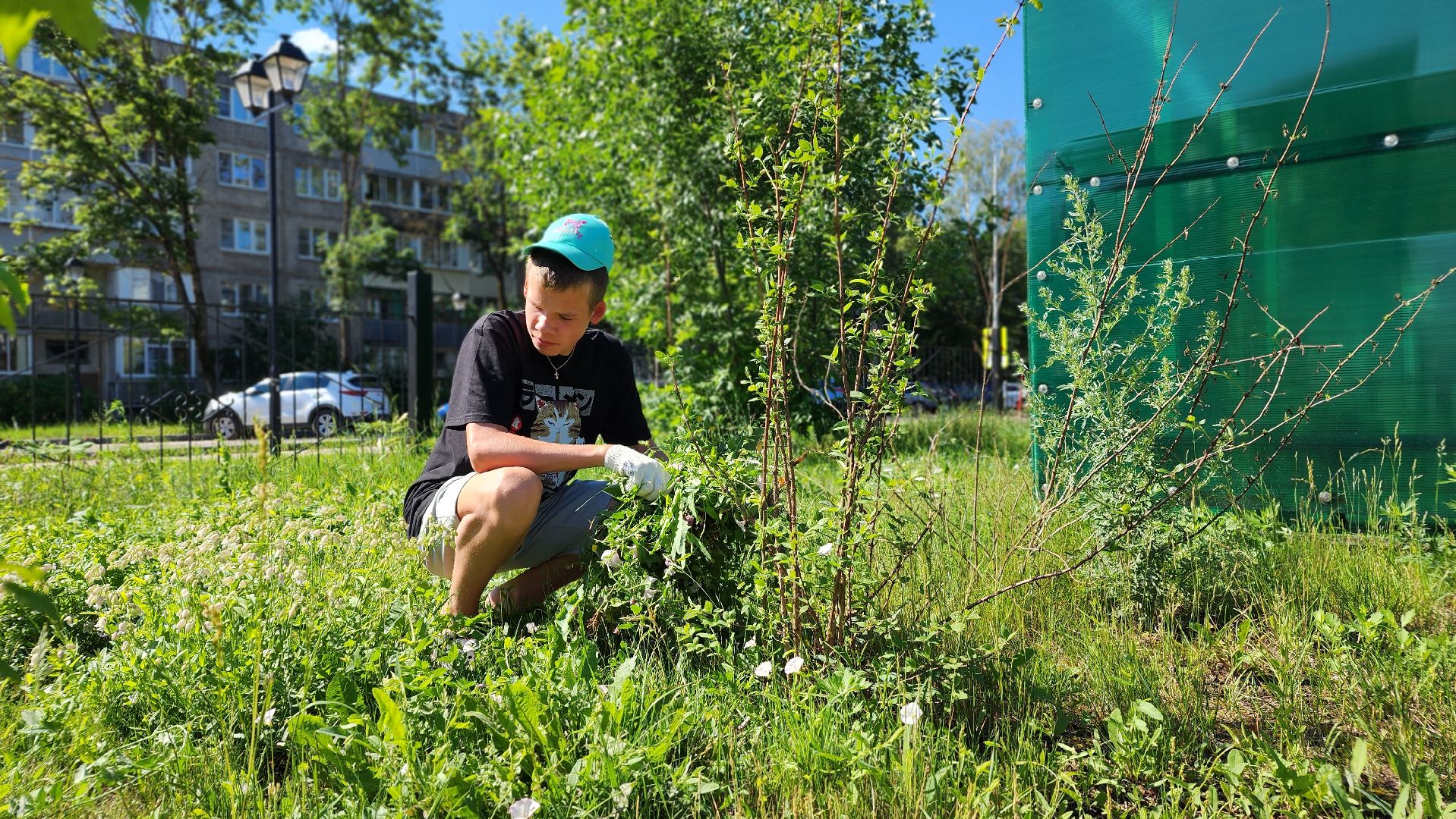 летнее трудоустройство, школьники, Лосино-Петровский,
