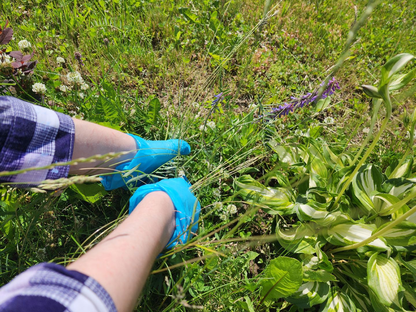 красноармейск, г.о. пушкинский, трудовые бригады, ремонт в школе,