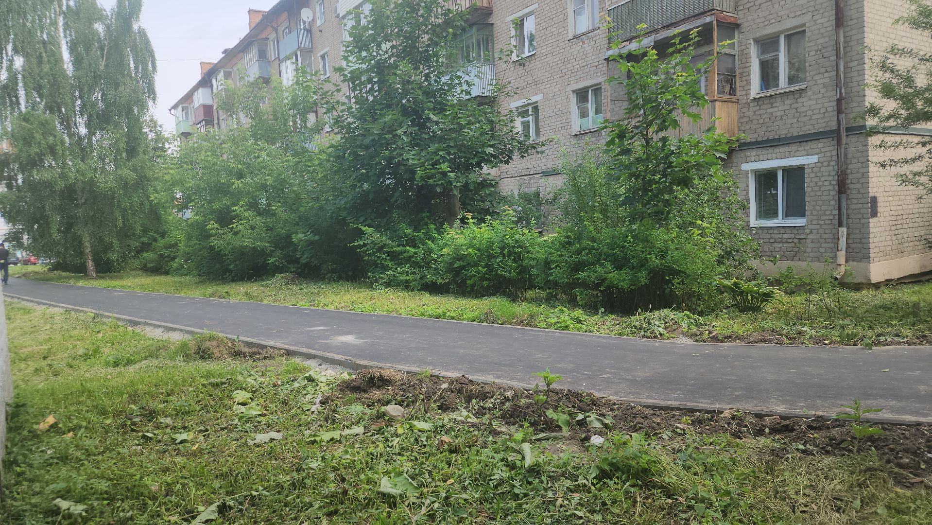 Павловский Посад, Городской округ Павловский Посад, Люди, Жители, Дворы, Ремонт, Благоустройство,