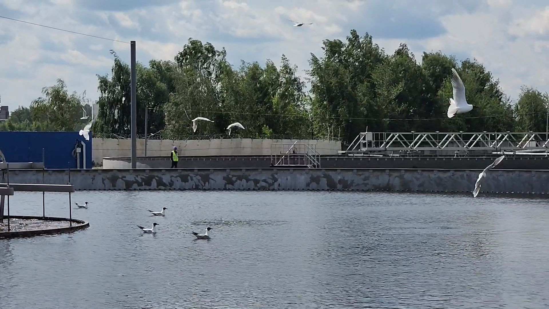 щёлково, очистные сооружения, реконструкция, экология,