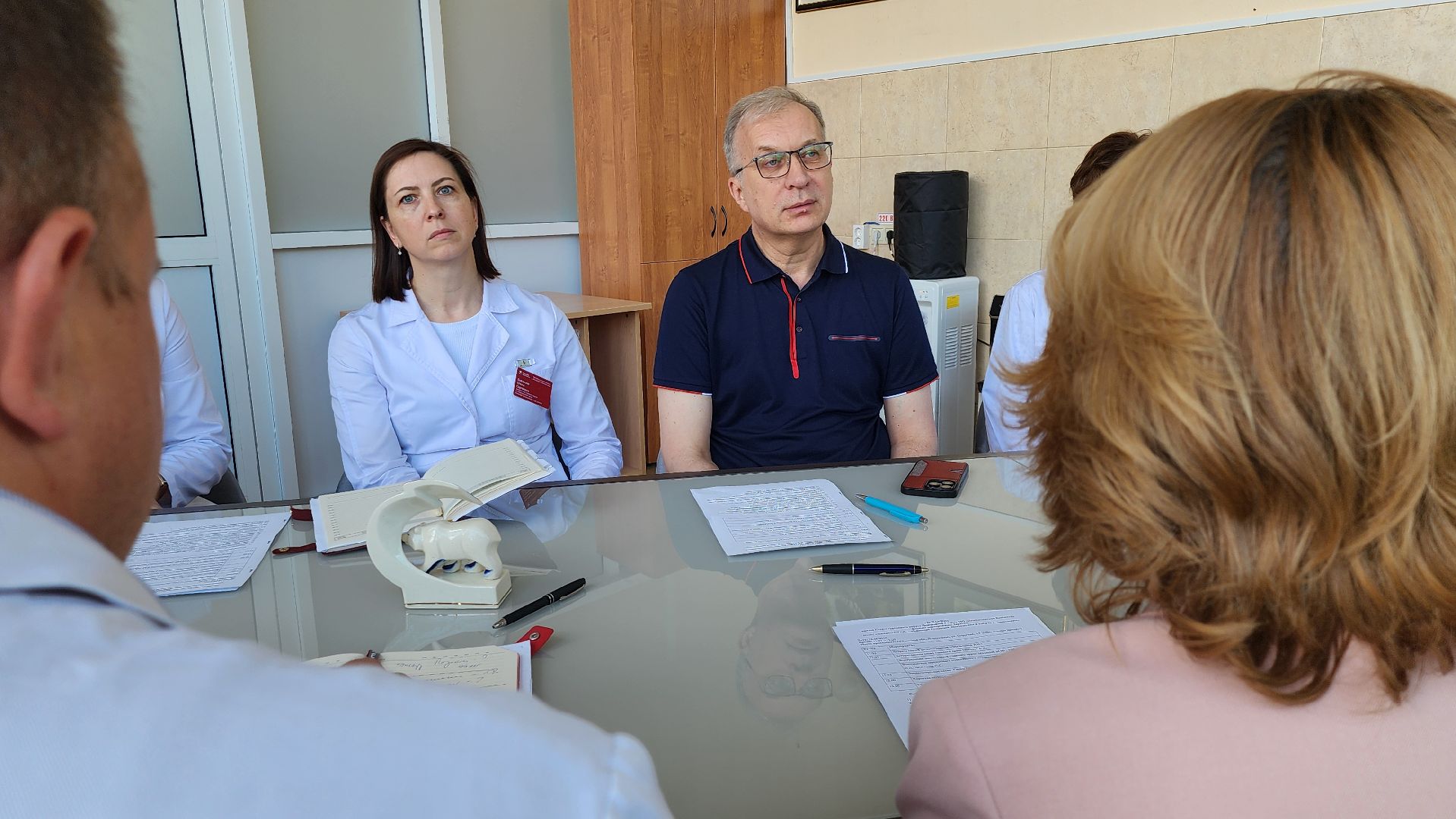 Зравчас, домодедовская больница, развитие медицины,