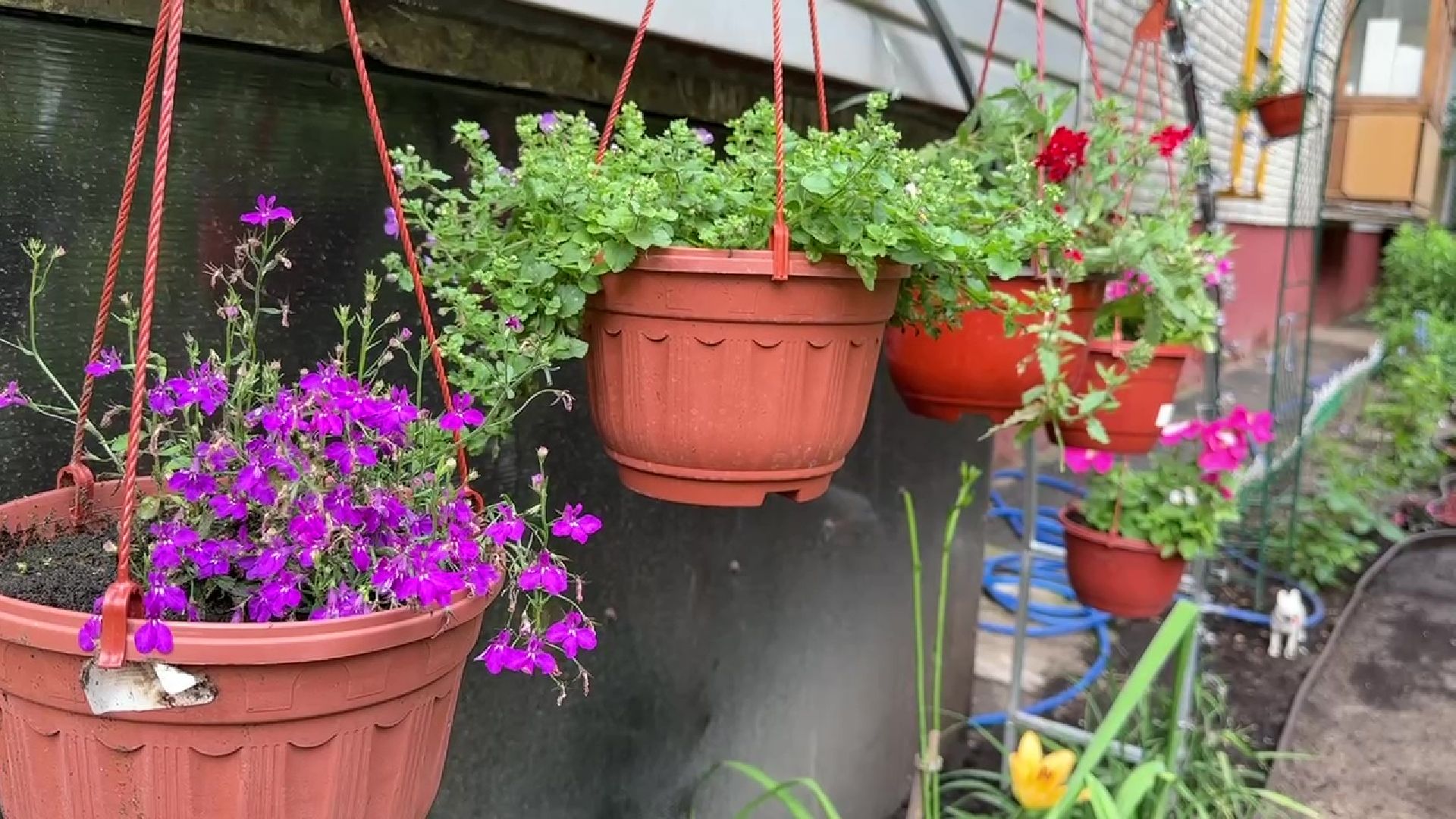 Реутов, благоустройство, клумба, своими руками,