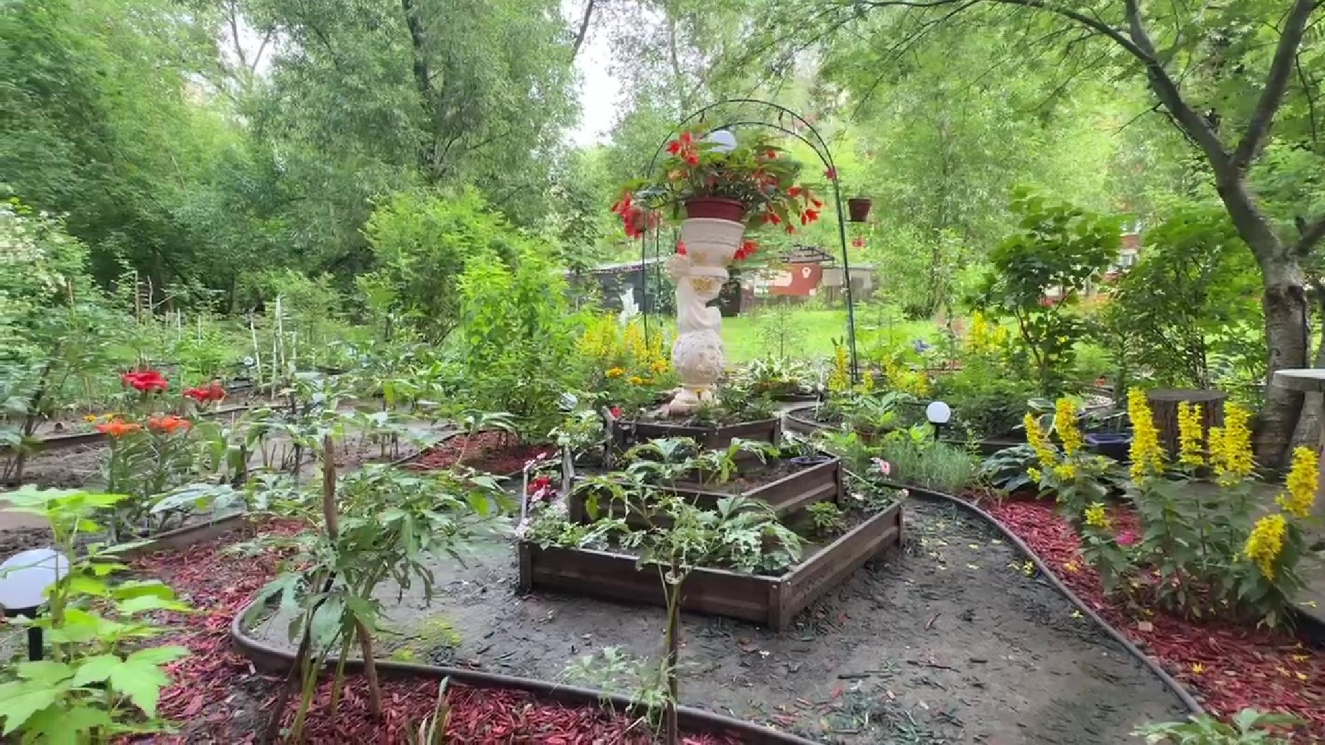 Реутов, благоустройство, клумба, своими руками,