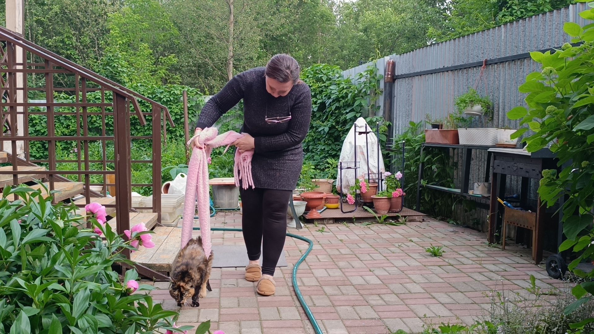 кошка, лобня, благотворители,