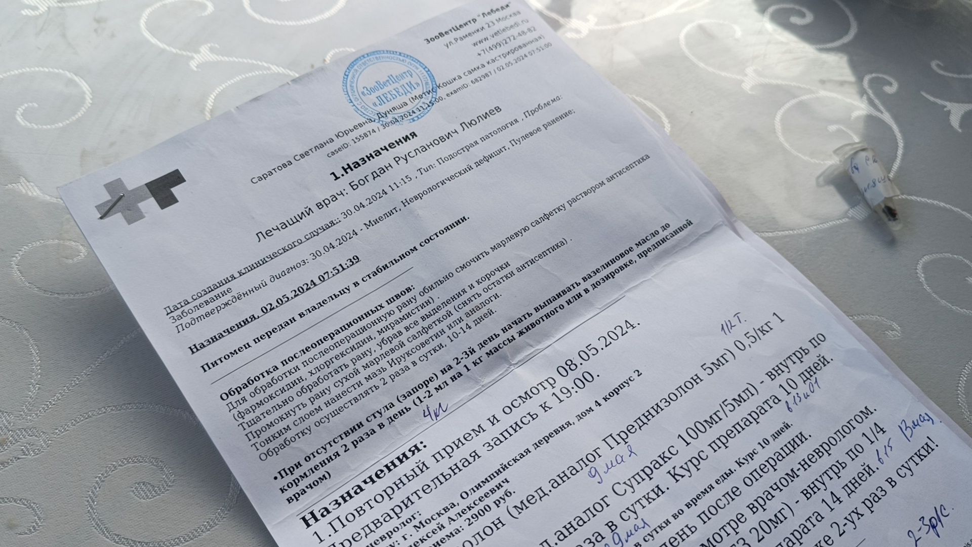 кошка, лобня, благотворители,