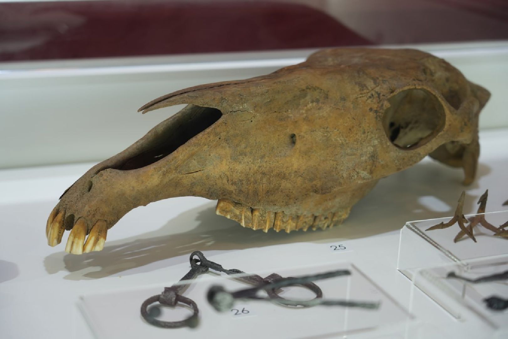 Троице-Сергиева лавра, Археология, Образование, Школьники, Умные каникулы, Археологические раскопки, Музеи, Сергиев Посад,