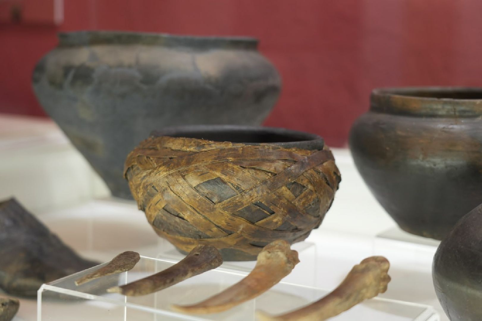 Троице-Сергиева лавра, Археология, Образование, Школьники, Умные каникулы, Археологические раскопки, Музеи, Сергиев Посад,