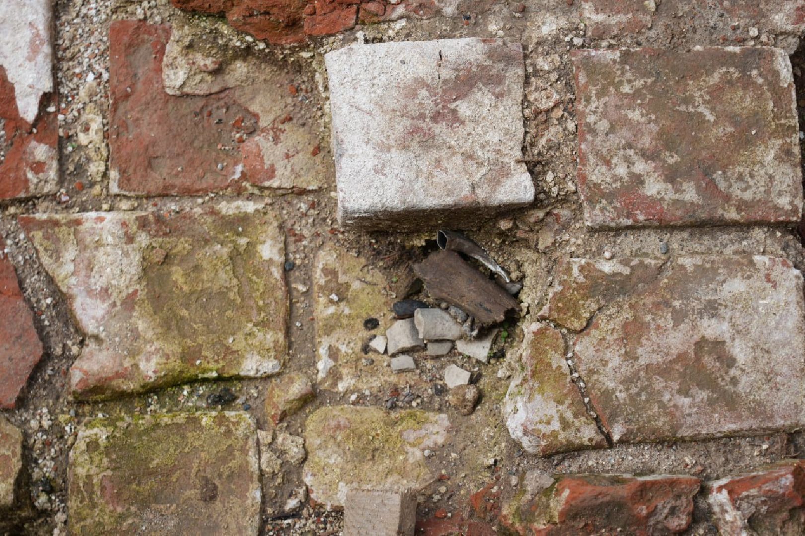 Троице-Сергиева лавра, Археология, Образование, Школьники, Умные каникулы, Археологические раскопки, Музеи, Сергиев Посад,