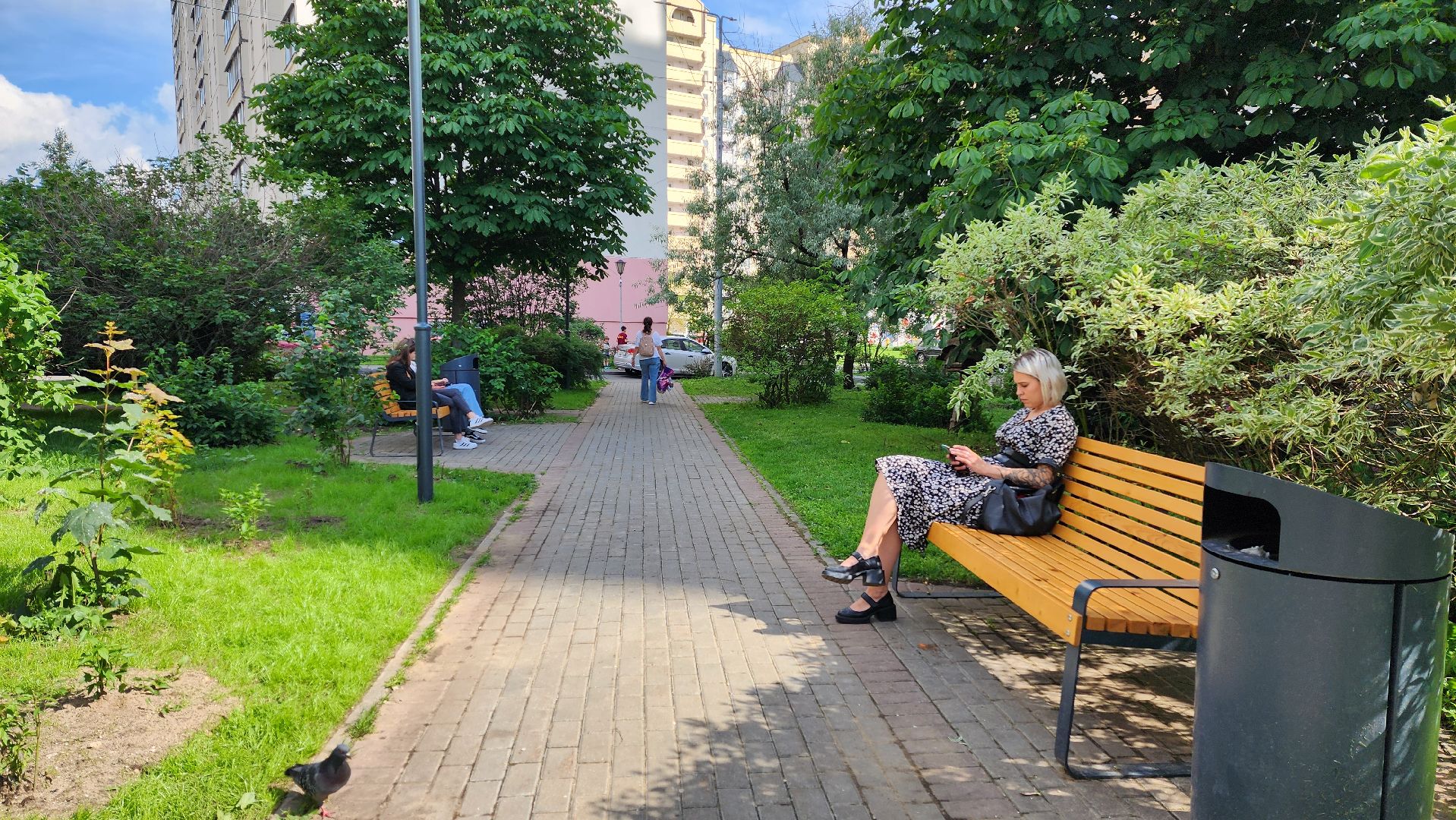 по следам выездной администрации, поручение главы, городской сквер, озеленение города,