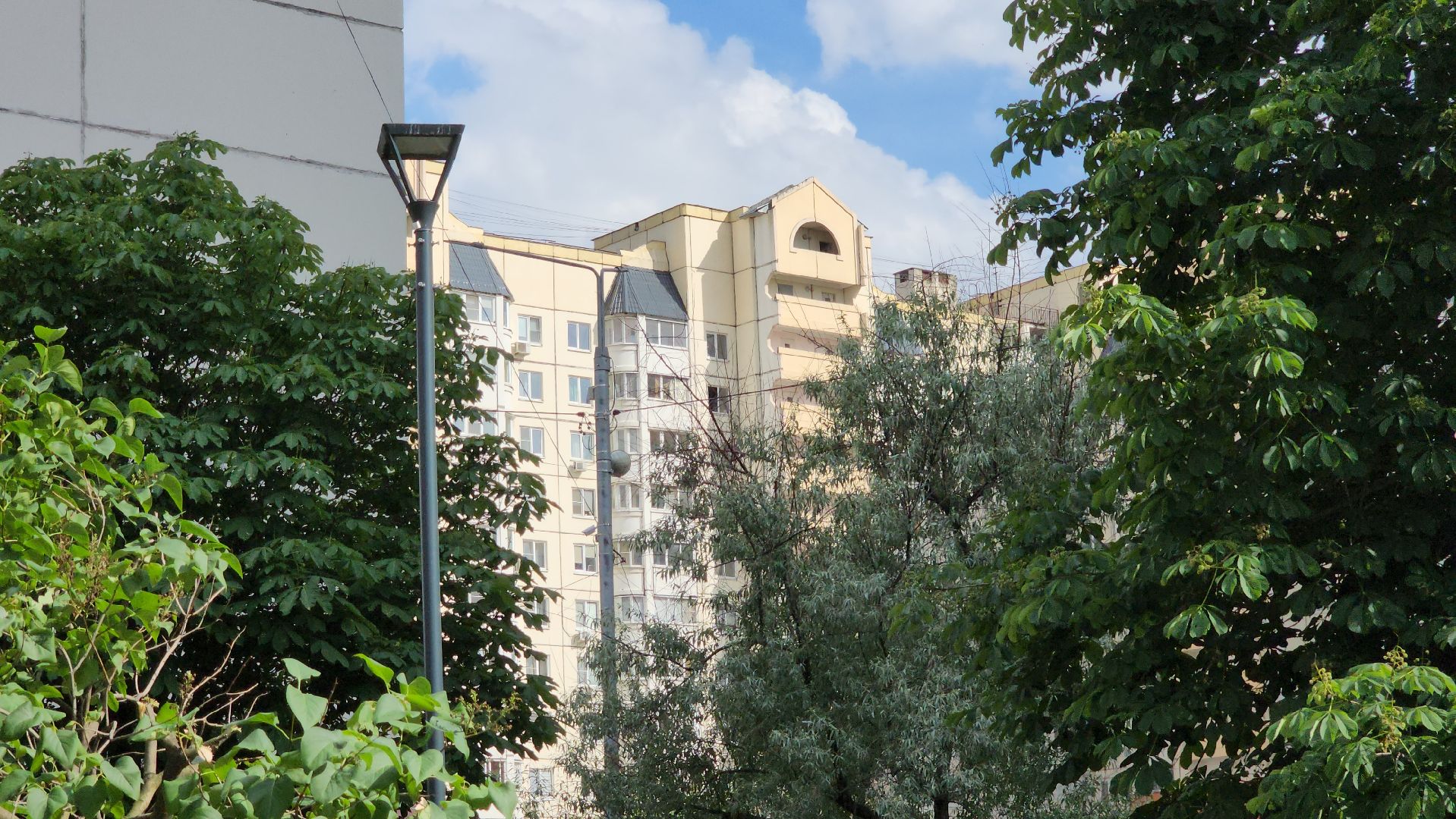 по следам выездной администрации, поручение главы, городской сквер, озеленение города,