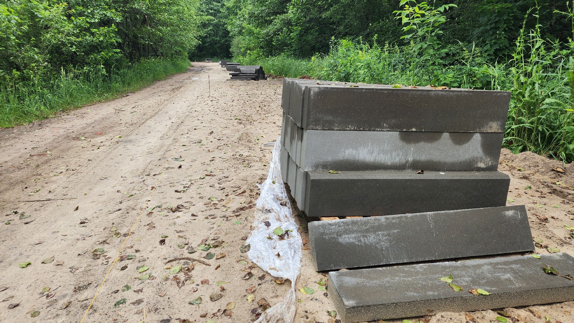 народные тропы, благоуйстройство, озеро Юбилейное, рошаль, Большая Шатура,