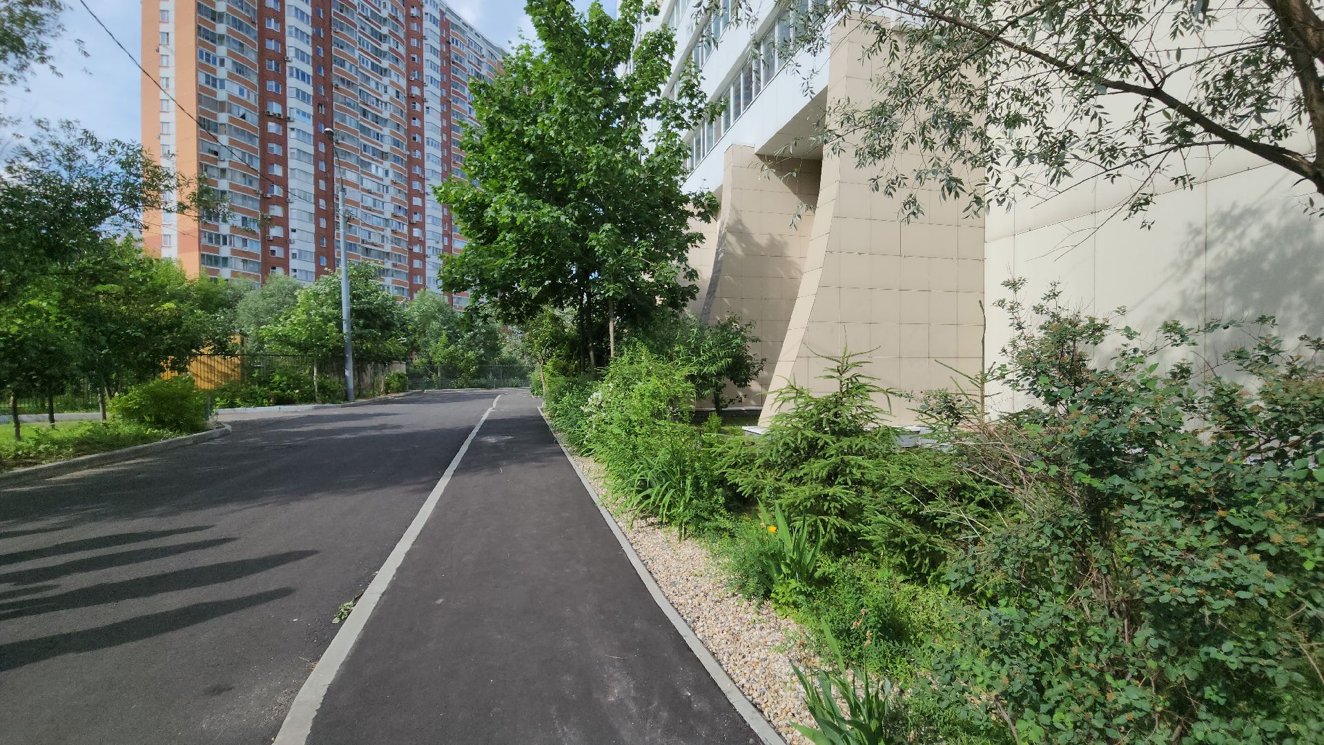 Глава Красногорска, Павшинская пойма, благоустройство дворов,