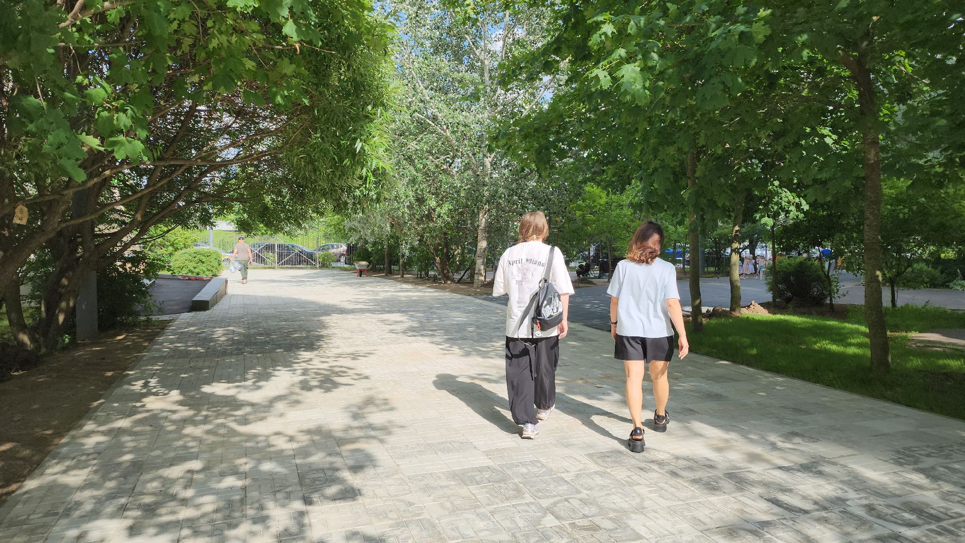 Глава Красногорска, Павшинская пойма, благоустройство дворов,