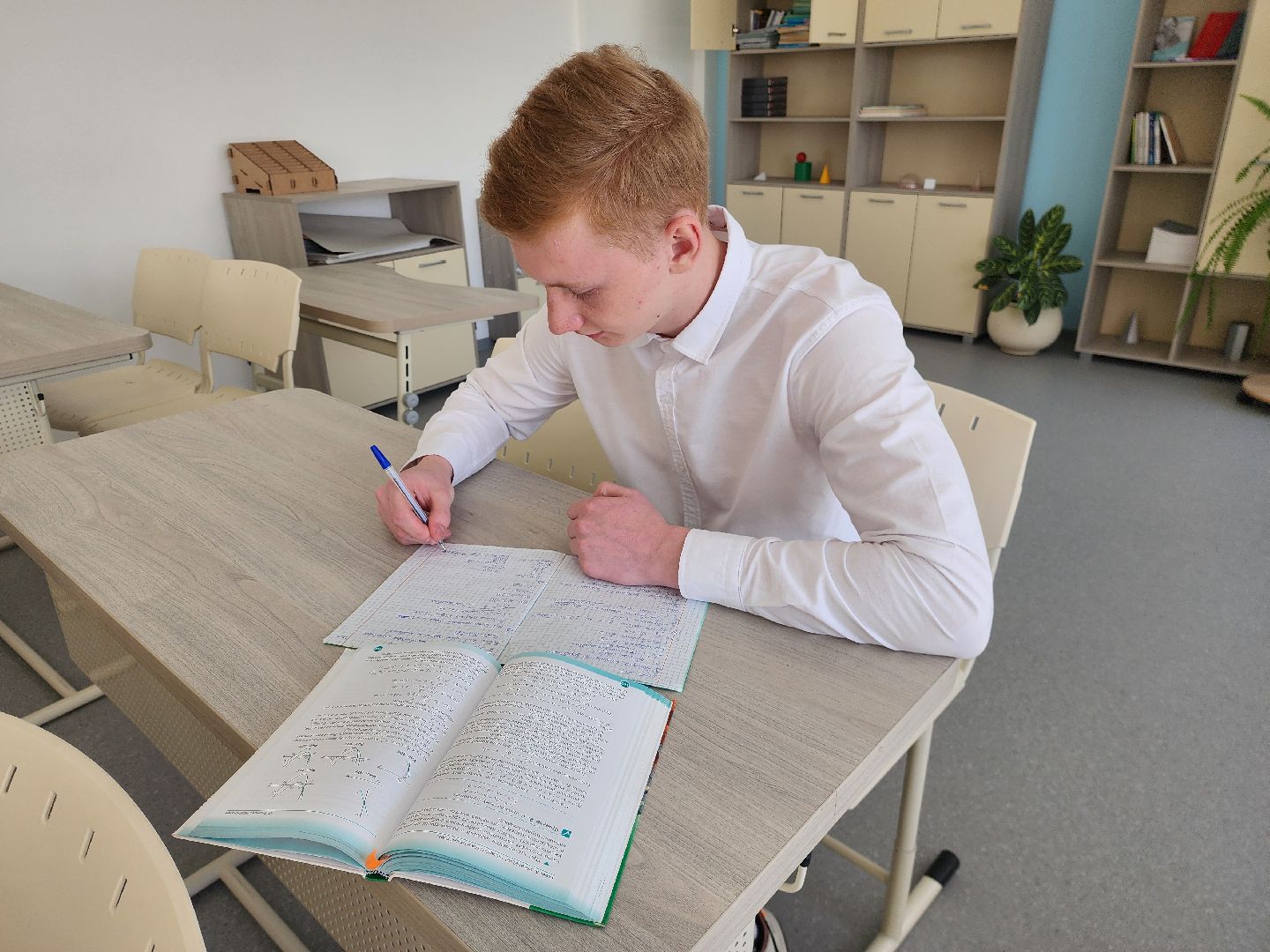 шатура, лицей, медалисты, егэ, образование,