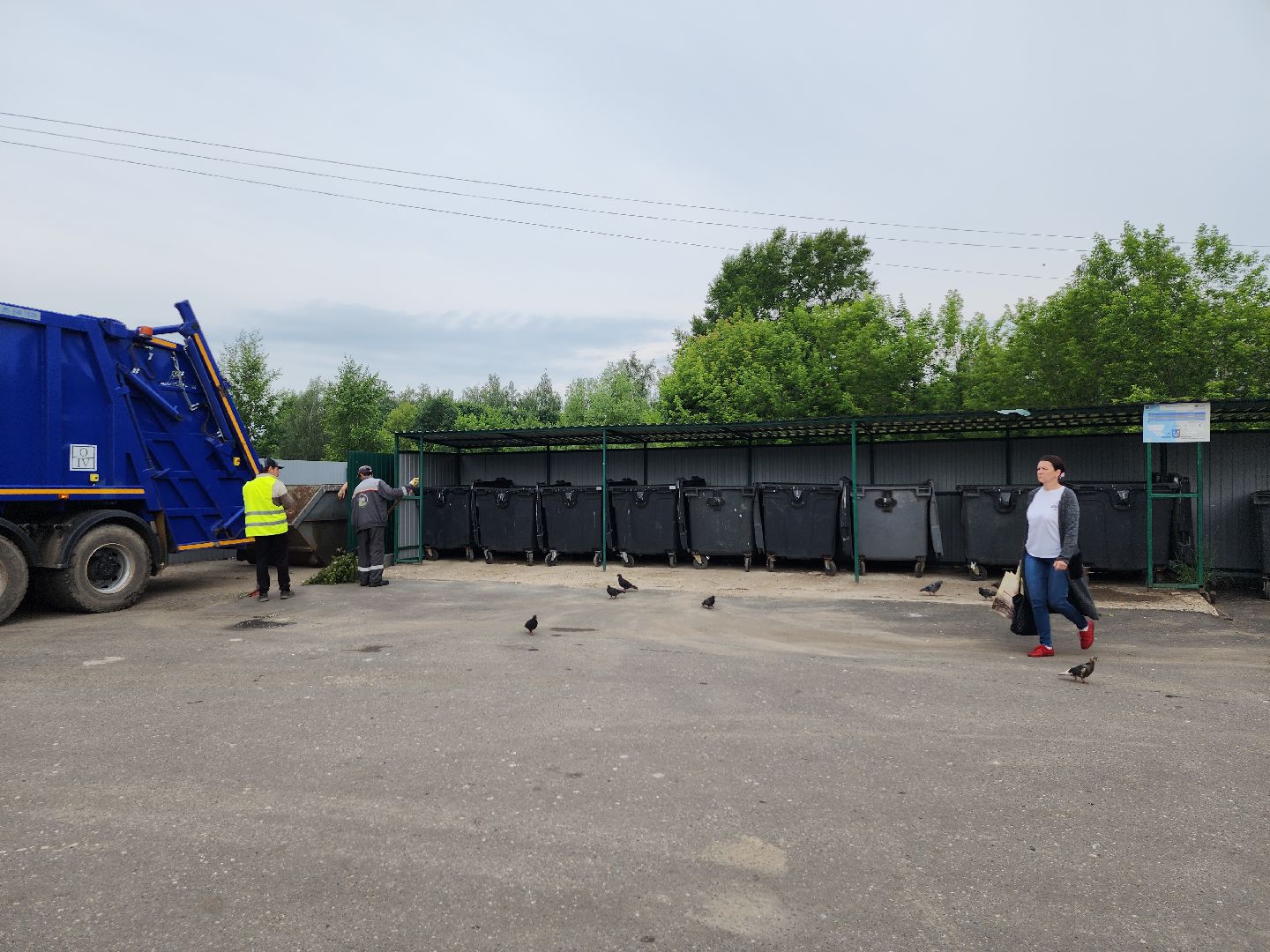 контейнерная площадка, вывоз мусора, уборка мусора, Старая Купавна, Богородский городской округ,