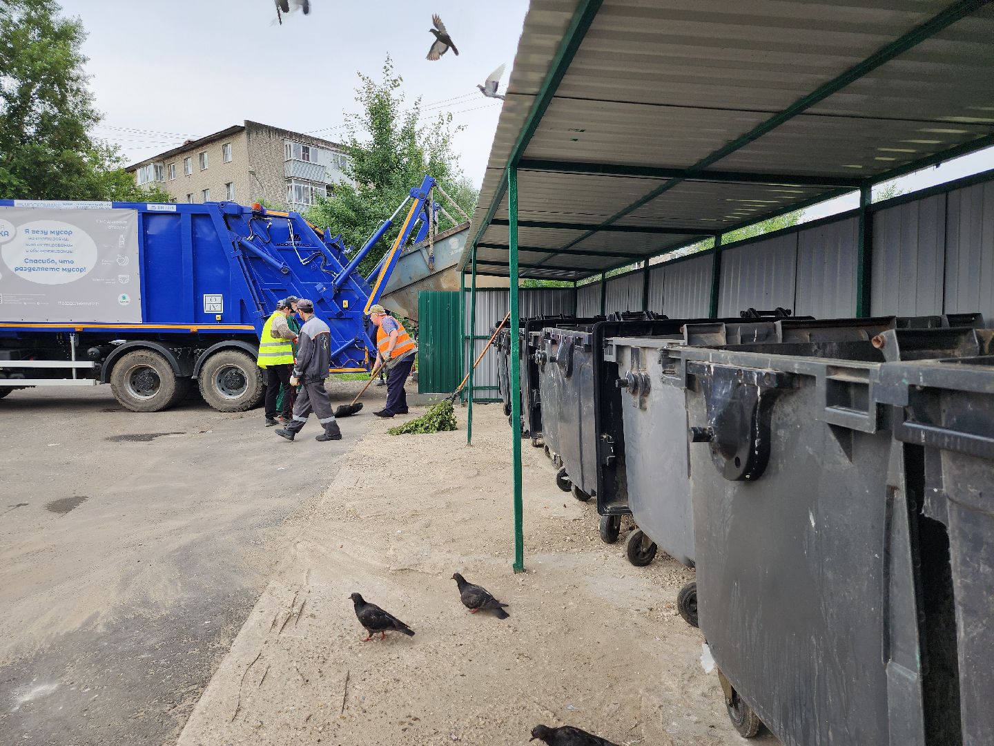 контейнерная площадка, вывоз мусора, уборка мусора, Старая Купавна, Богородский городской округ,