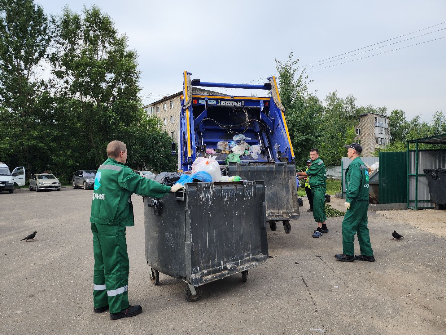 контейнерная площадка, вывоз мусора, уборка мусора, Старая Купавна, Богородский городской округ,