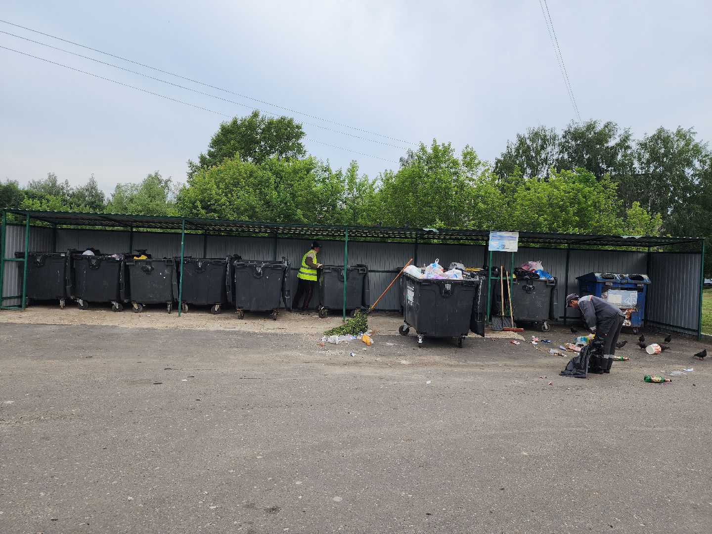 контейнерная площадка, вывоз мусора, уборка мусора, Старая Купавна, Богородский городской округ,