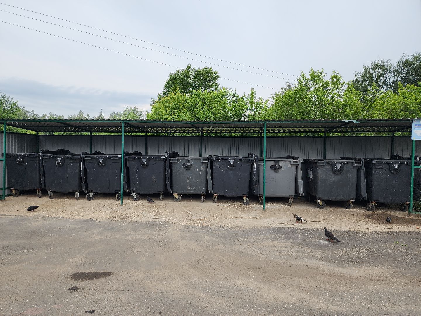 контейнерная площадка, вывоз мусора, уборка мусора, Старая Купавна, Богородский городской округ,
