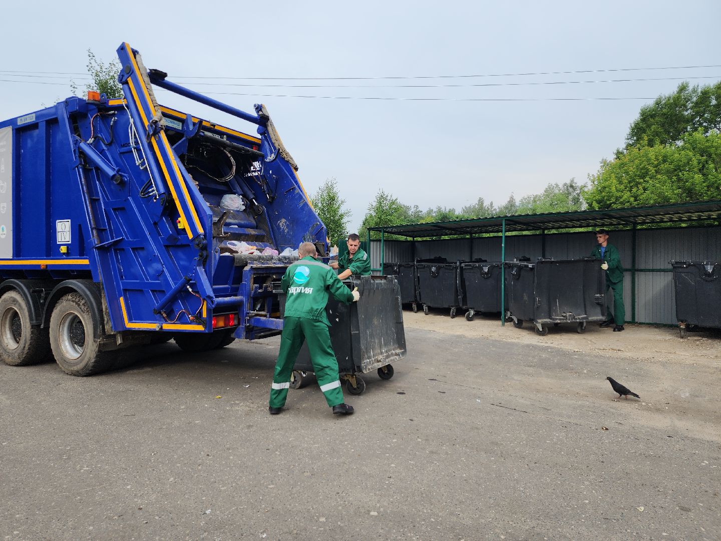 контейнерная площадка, вывоз мусора, уборка мусора, Старая Купавна, Богородский городской округ,