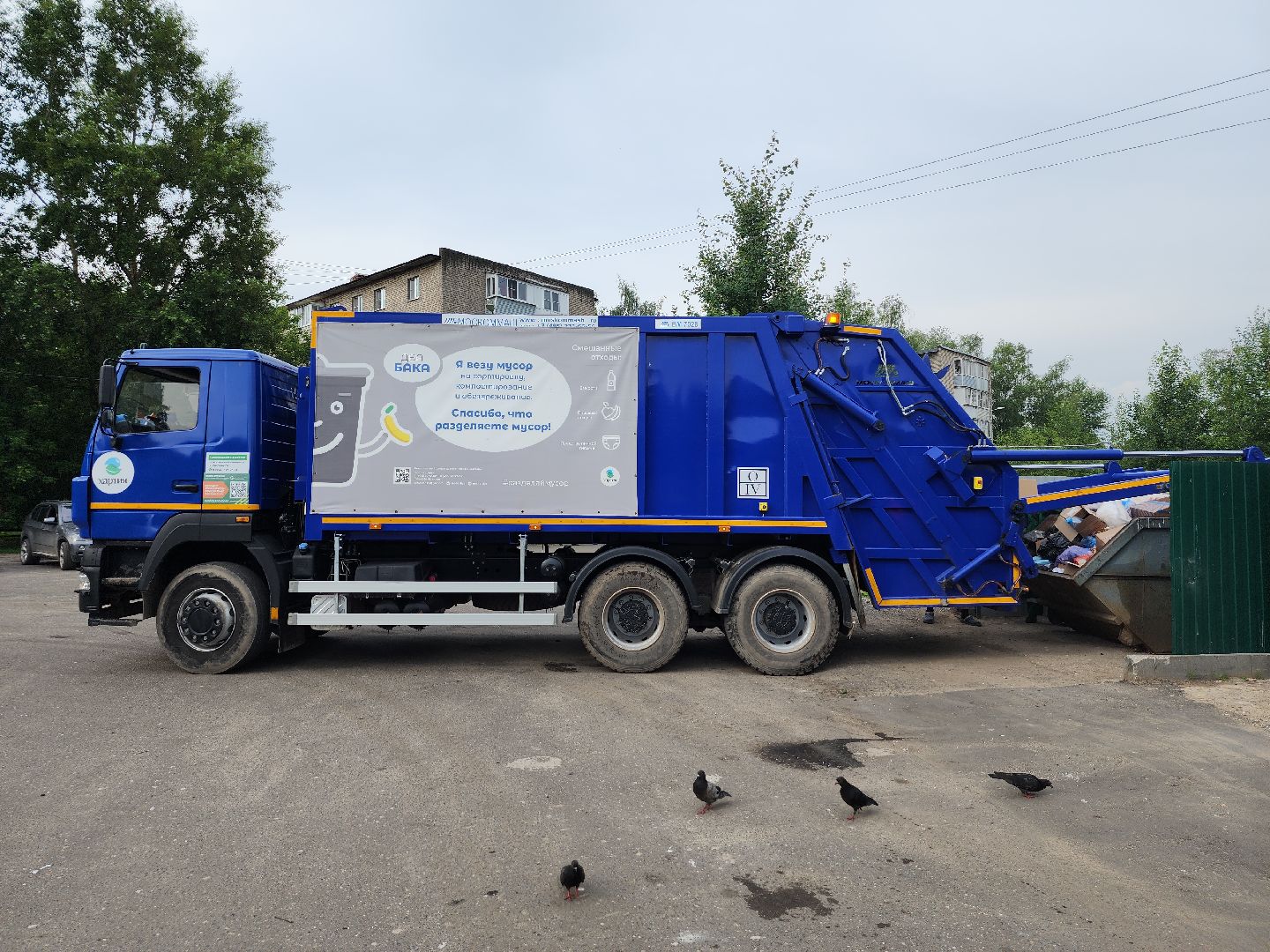 контейнерная площадка, вывоз мусора, уборка мусора, Старая Купавна, Богородский городской округ,