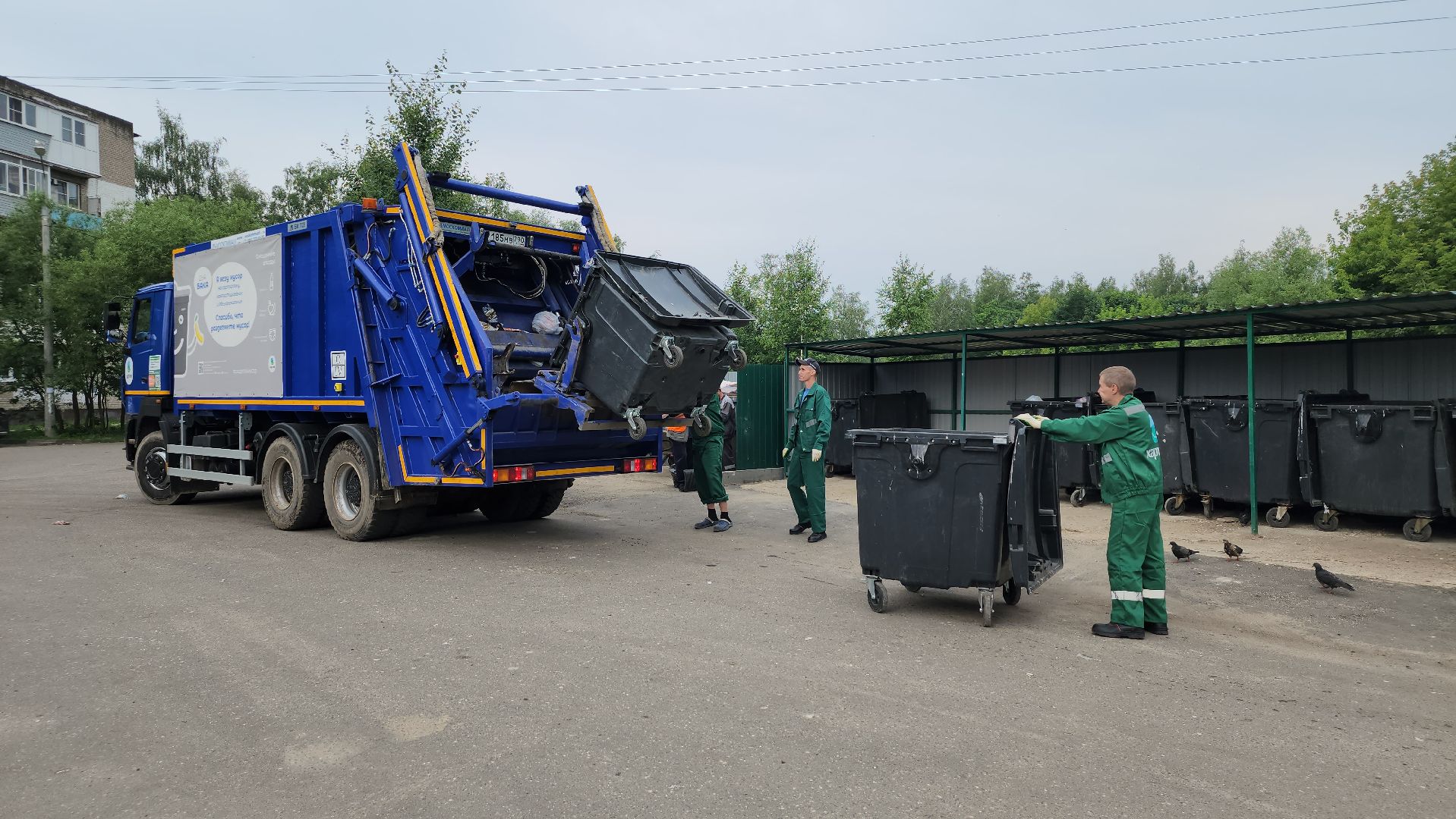 контейнерная площадка, вывоз мусора, уборка мусора, Старая Купавна, Богородский городской округ,