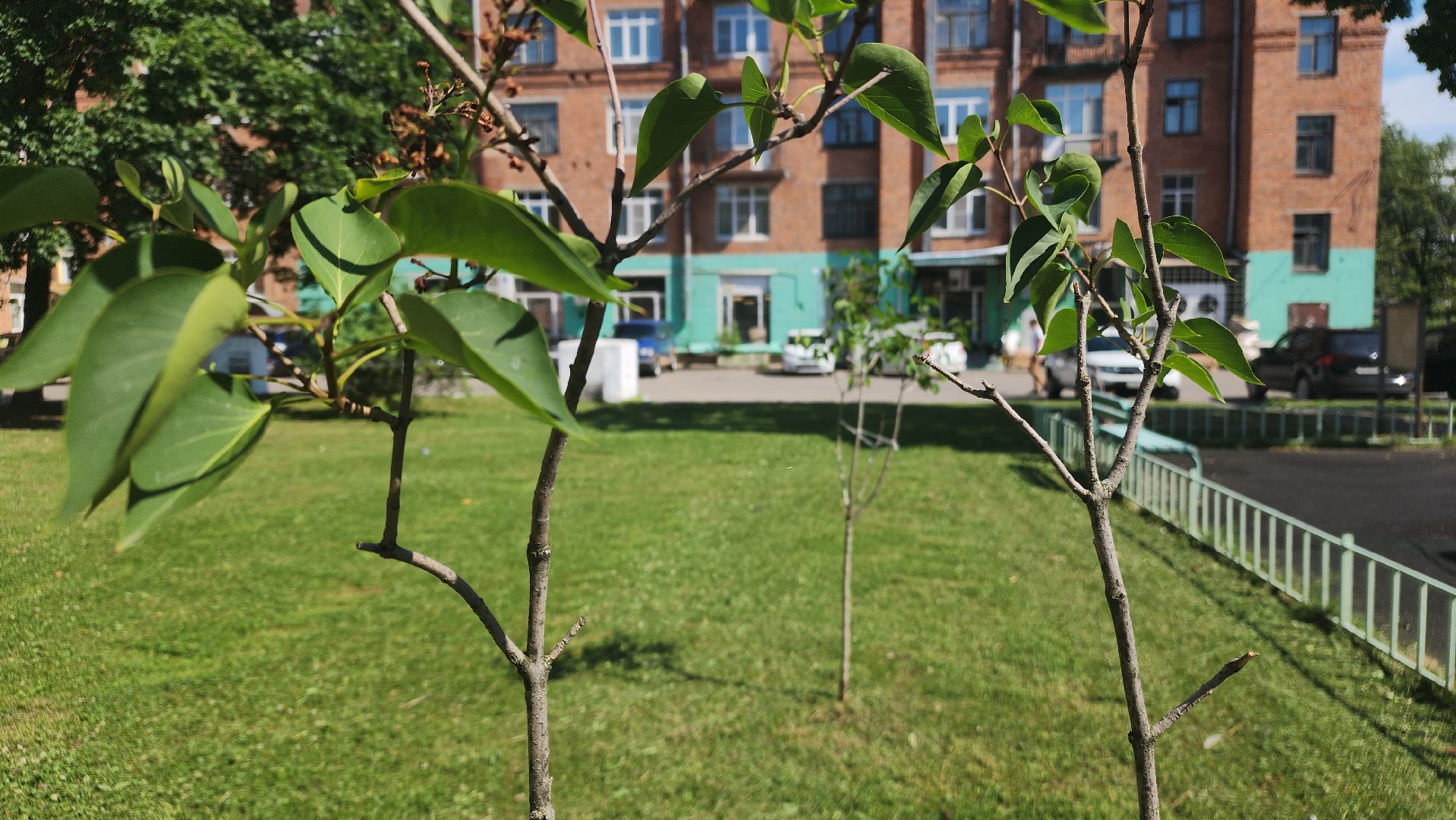 ступино, благоустройство 2024, комфортная среда,