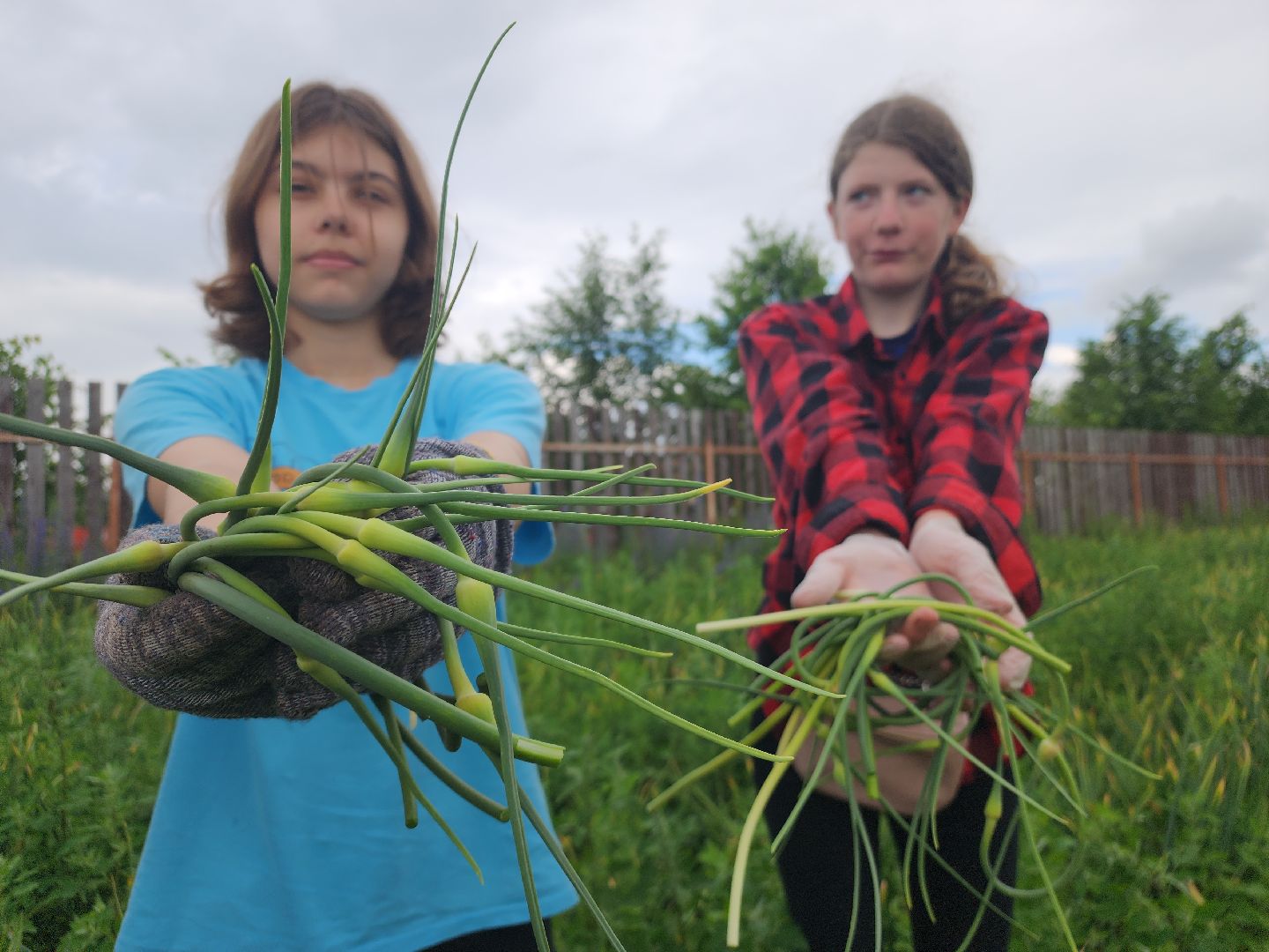 ступино, агрообразование, образование подмосковья,
