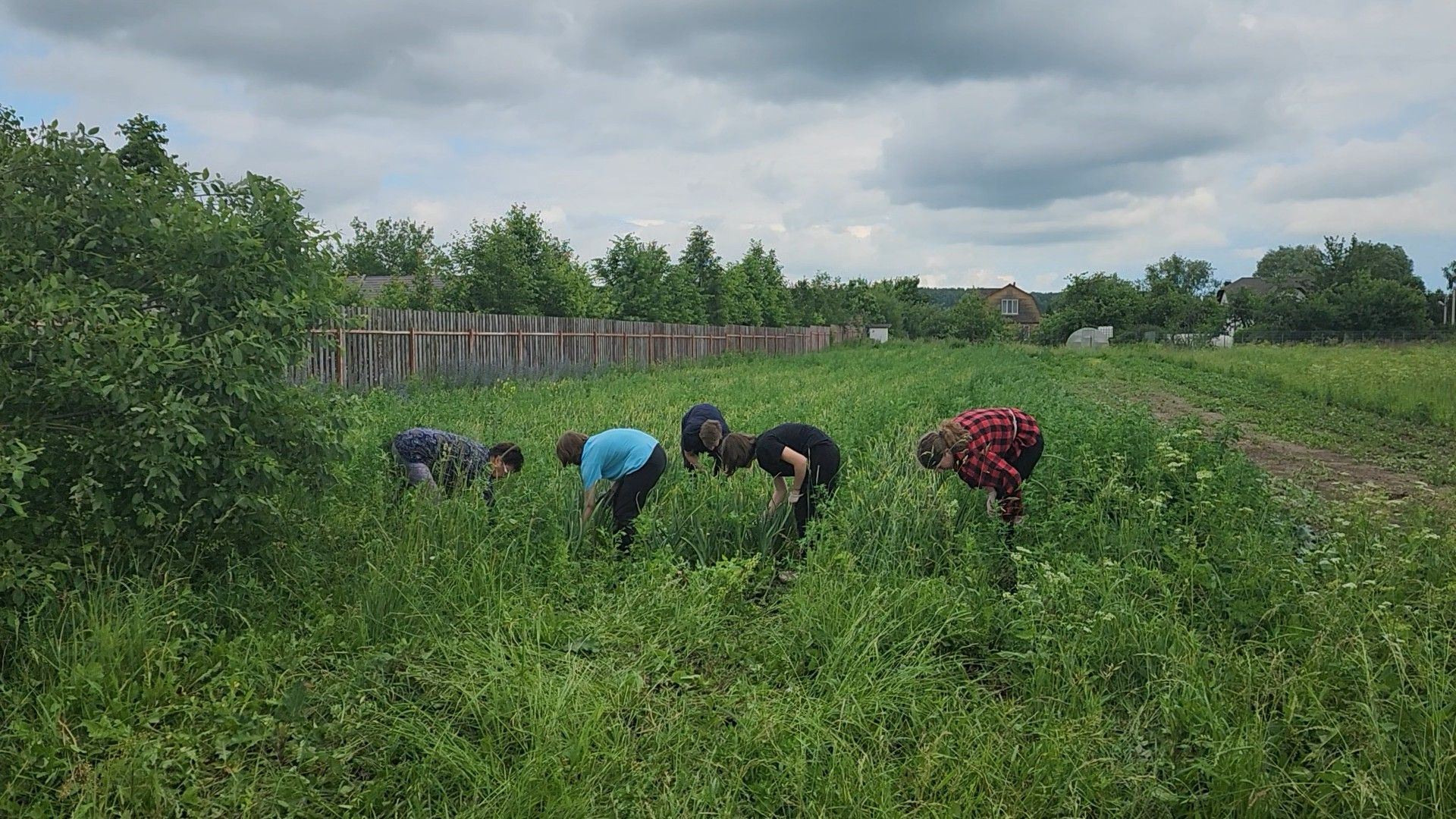 ступино, агрообразование, образование подмосковья,