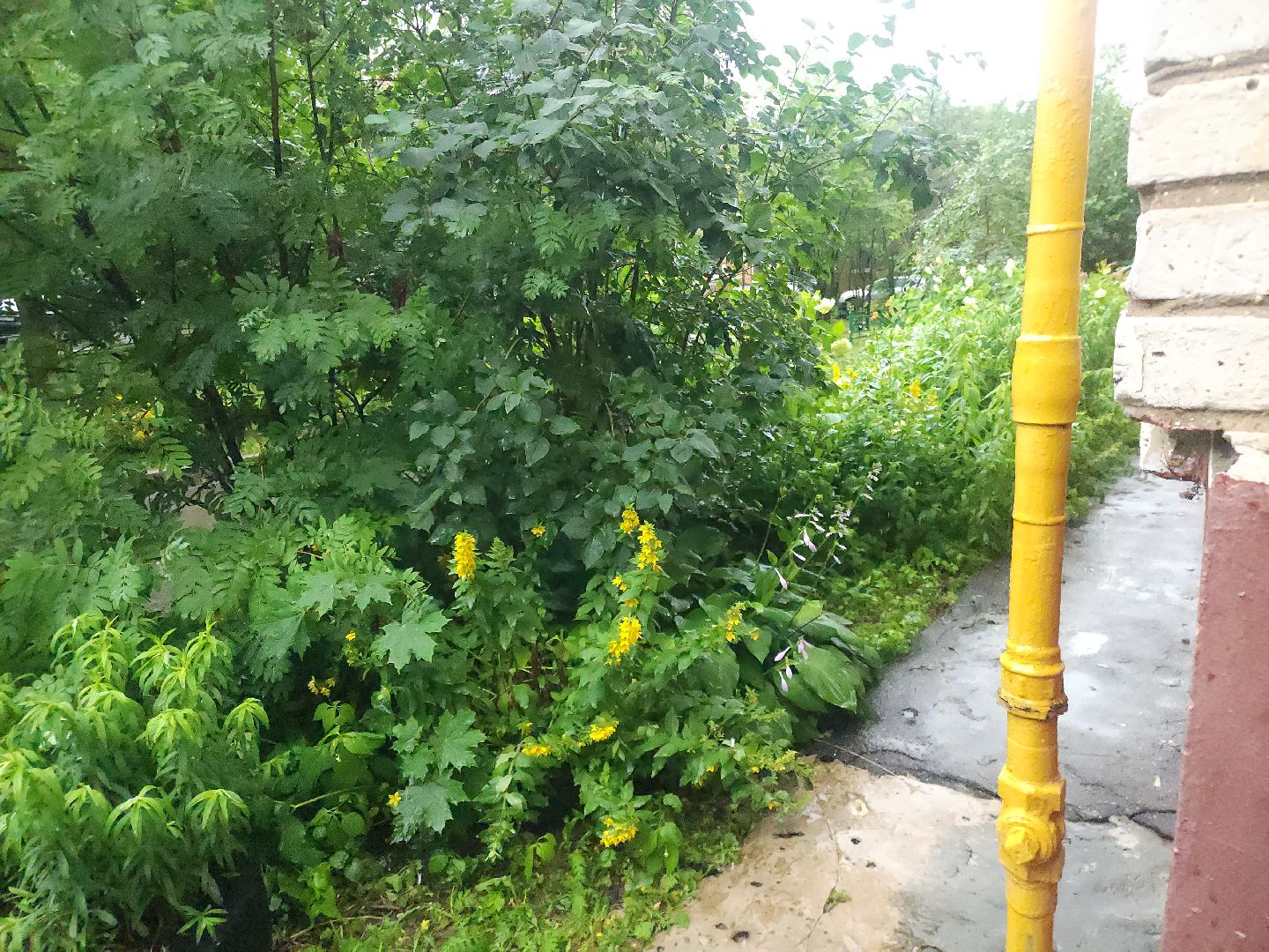 Звенигород, благоустройсво, Теплосети,