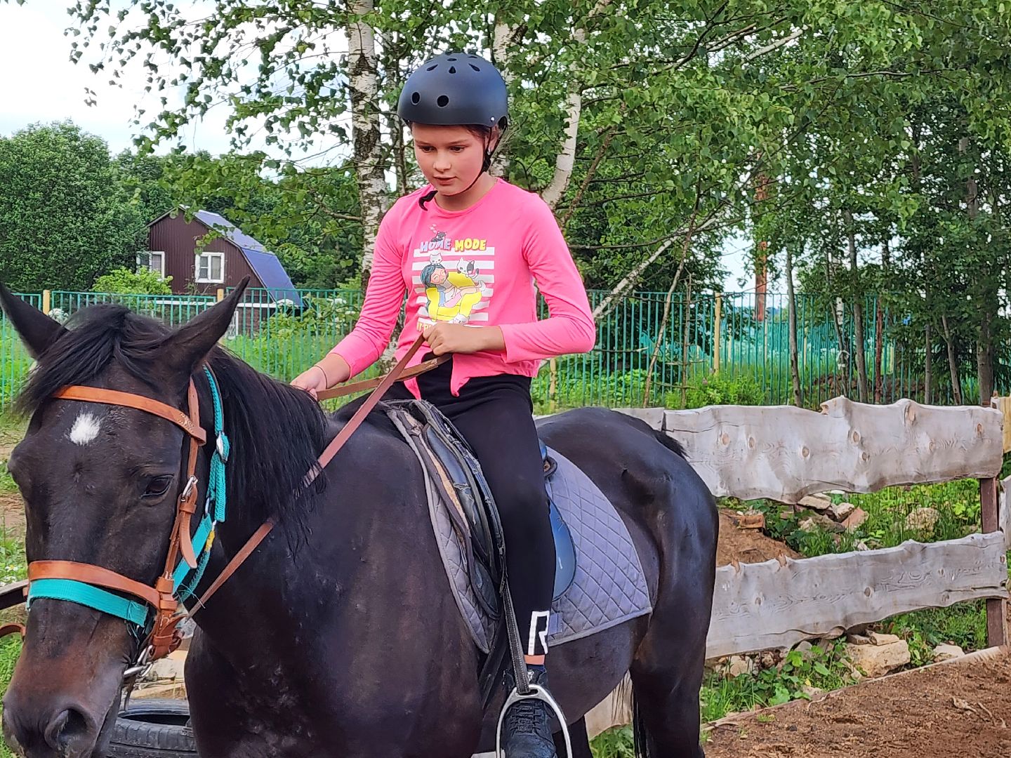 красноармейск, г.о. пушкинский, верховая езда, конный клуб,