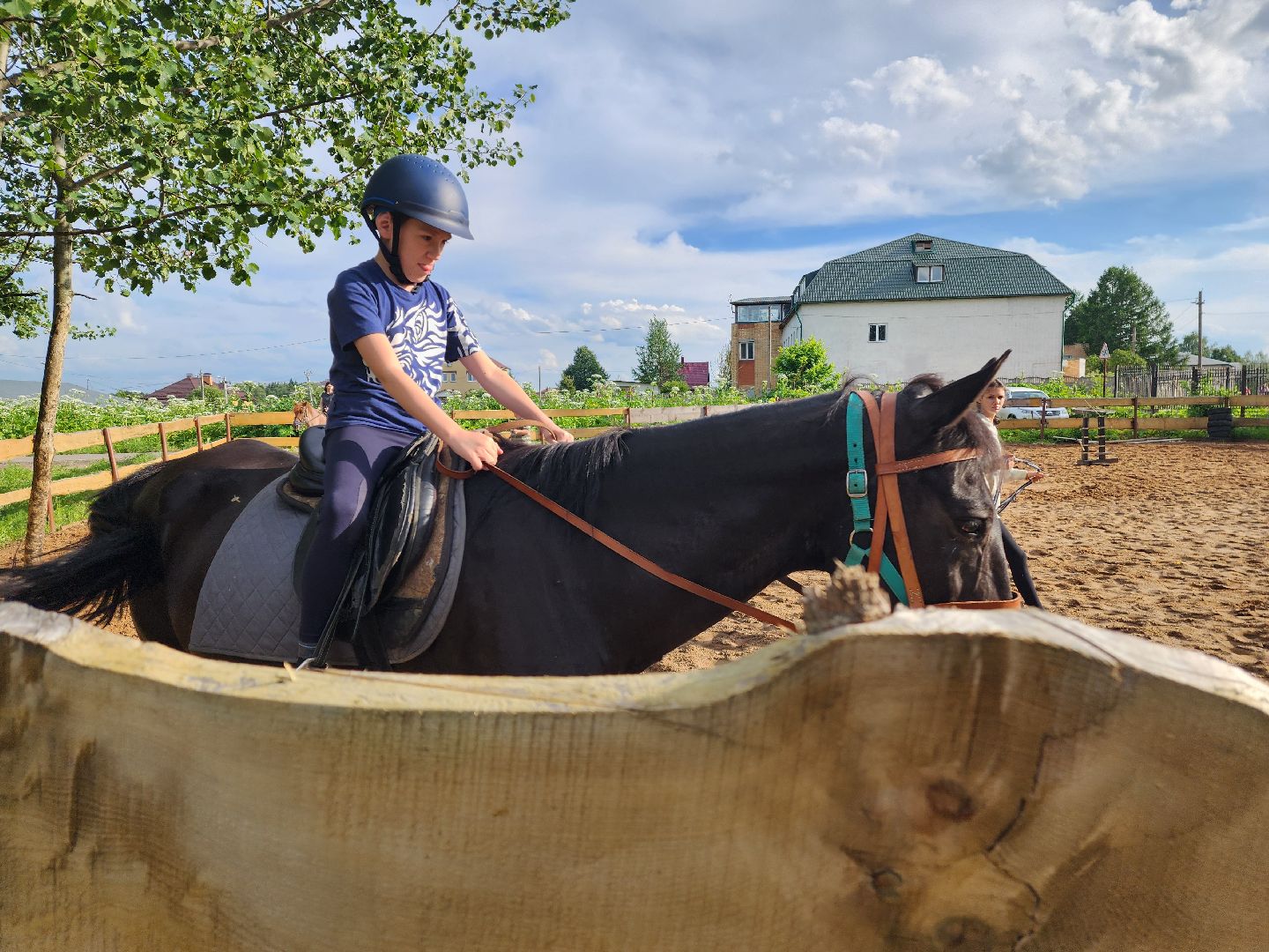 красноармейск, г.о. пушкинский, верховая езда, конный клуб,