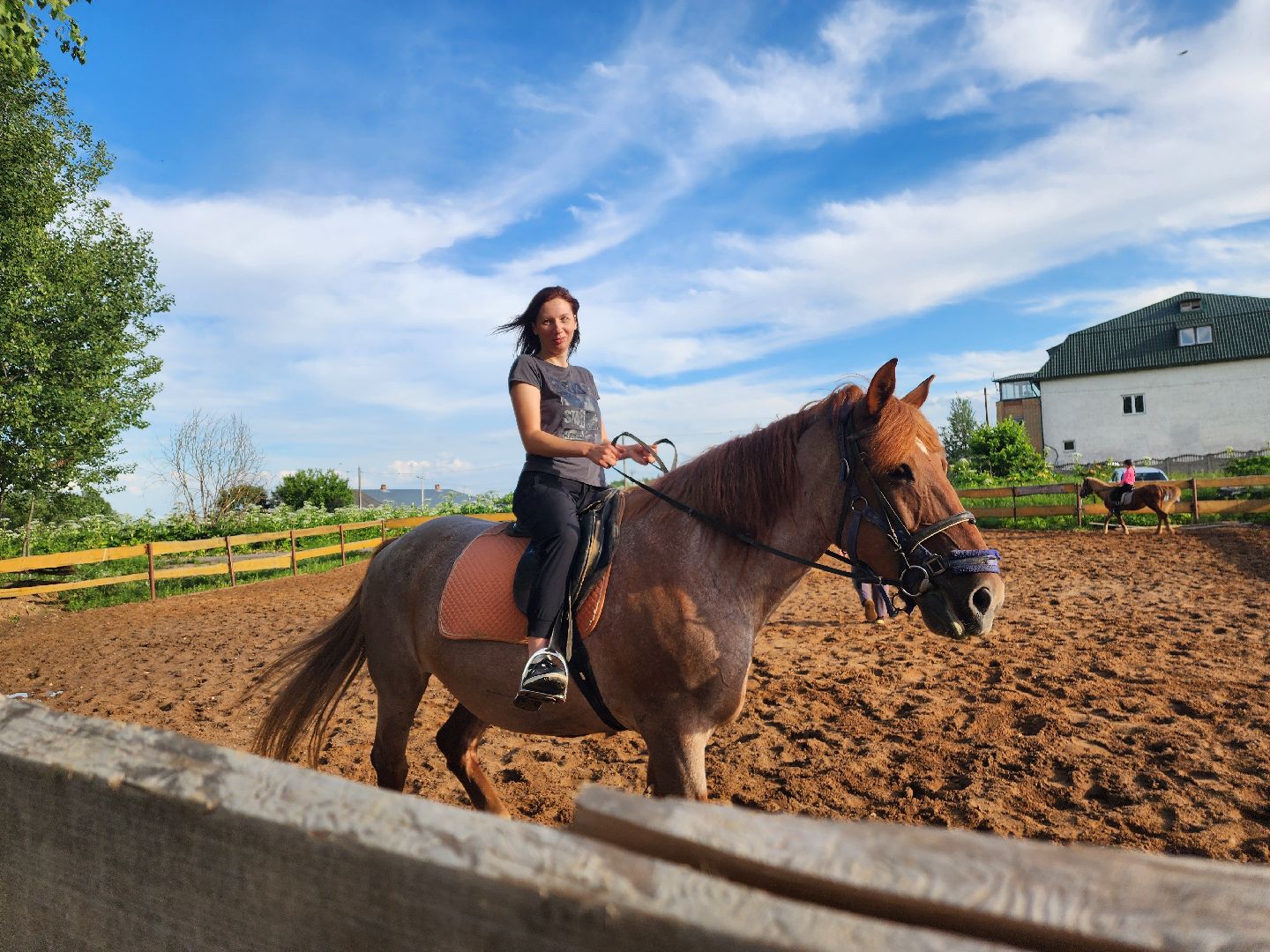 красноармейск, г.о. пушкинский, верховая езда, конный клуб,