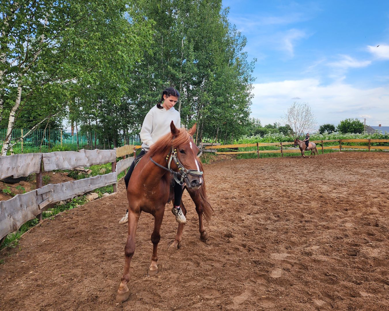 красноармейск, г.о. пушкинский, верховая езда, конный клуб,