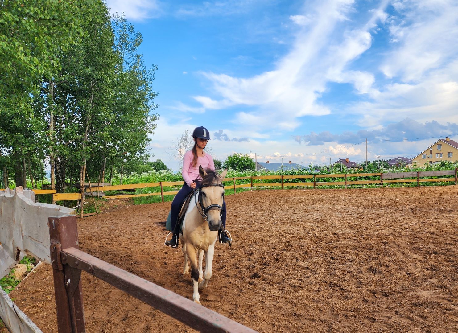 красноармейск, г.о. пушкинский, верховая езда, конный клуб,