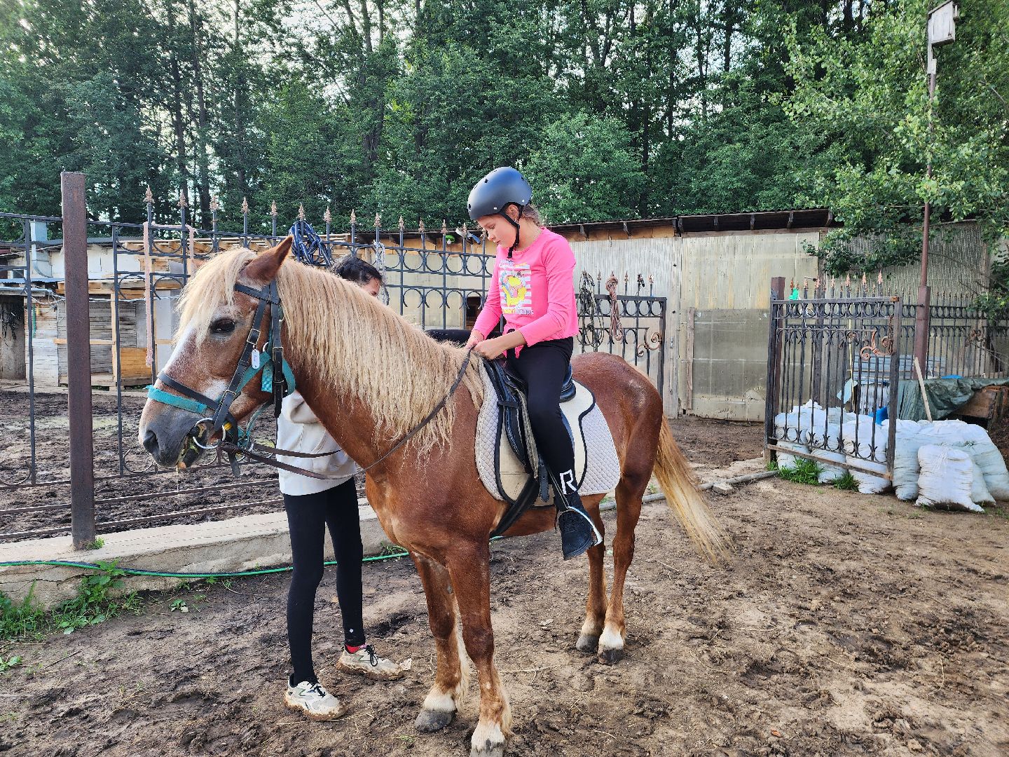 красноармейск, г.о. пушкинский, верховая езда, конный клуб,