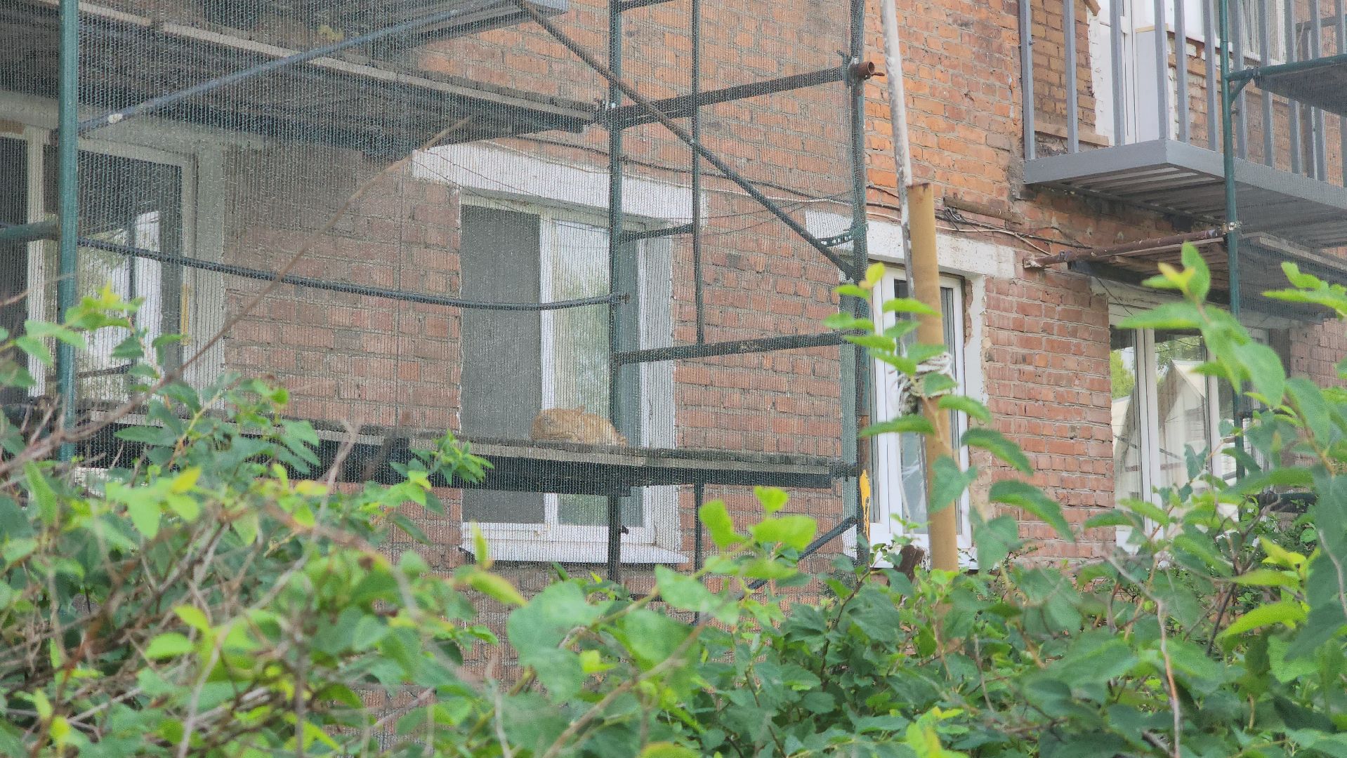 Павловский Посад, Городской округ Павловский Посад, Жители, Ремонт, Балконы, Капитальный ремонт,