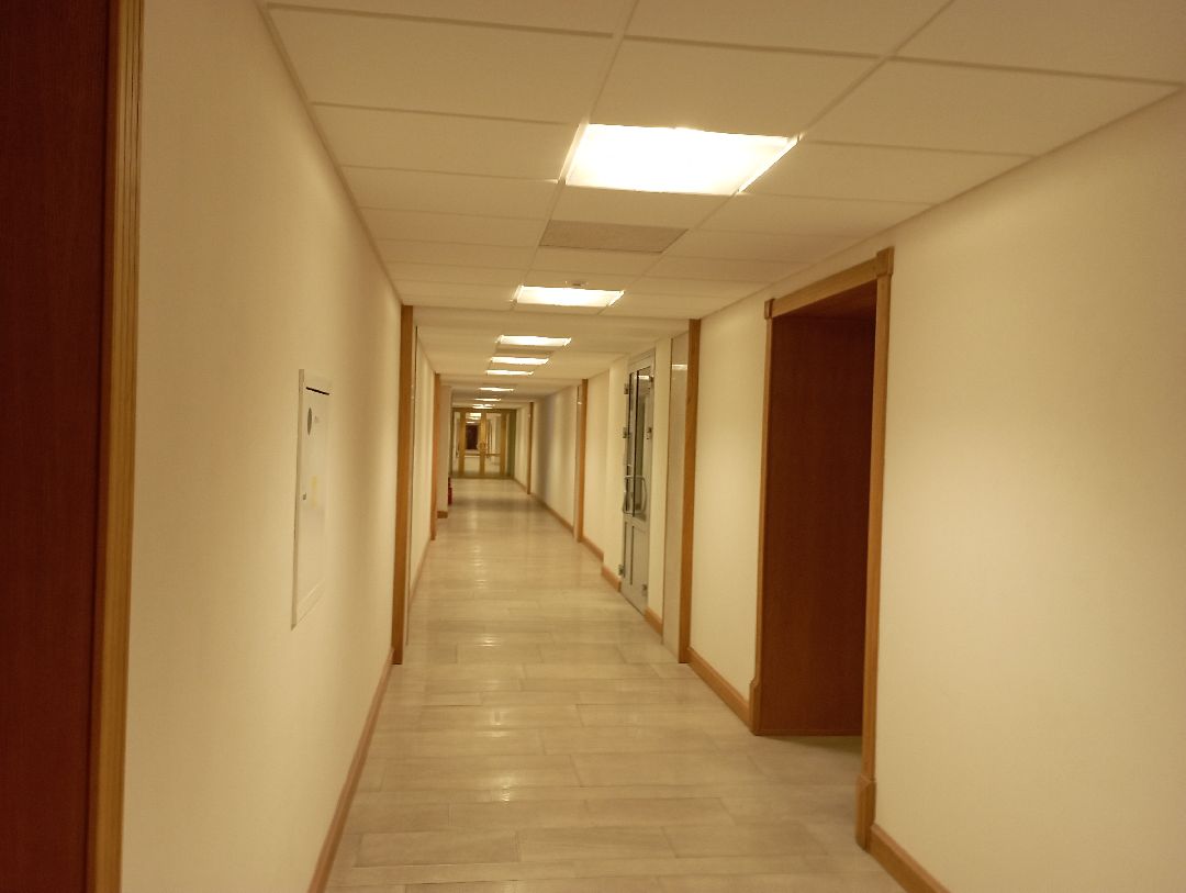 Дубна, наука