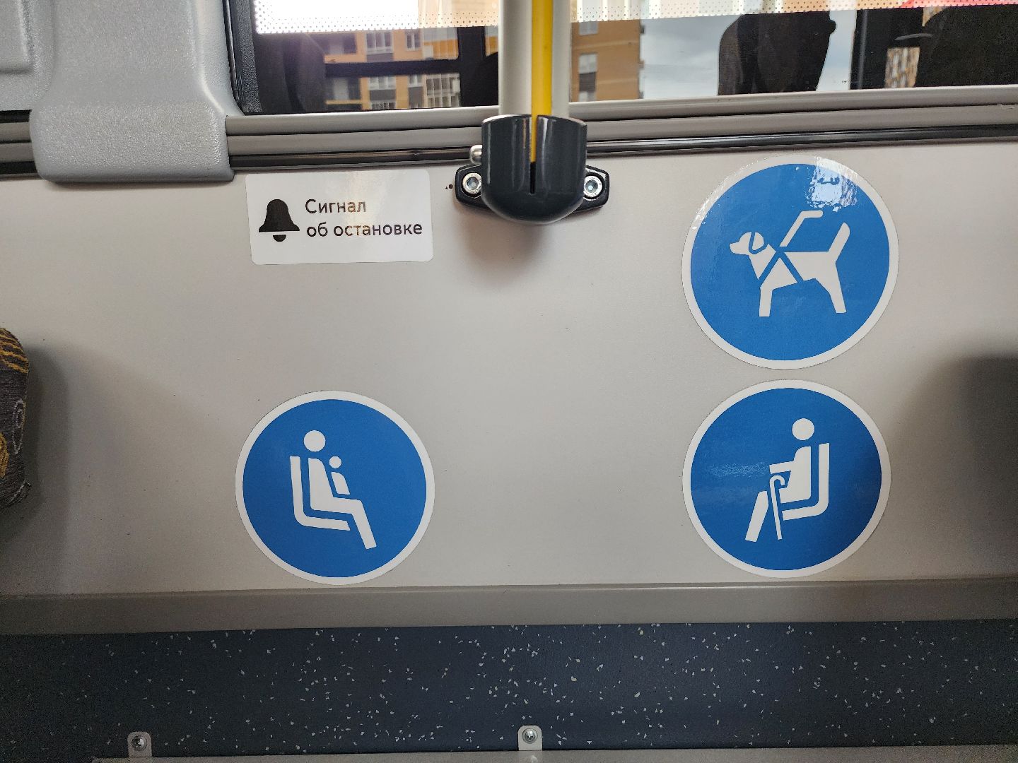 Транспорт, новые автобусы, Ленинский городской округ, жк пригород лесное,