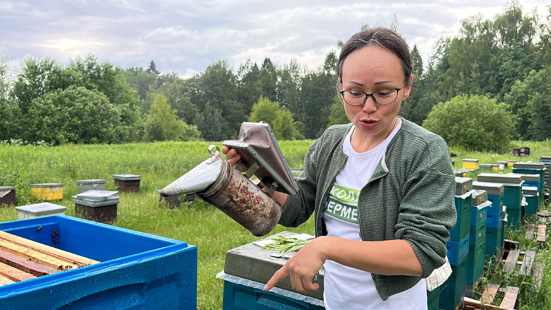 Клин, общество, экономика, фермеры, пчелы,