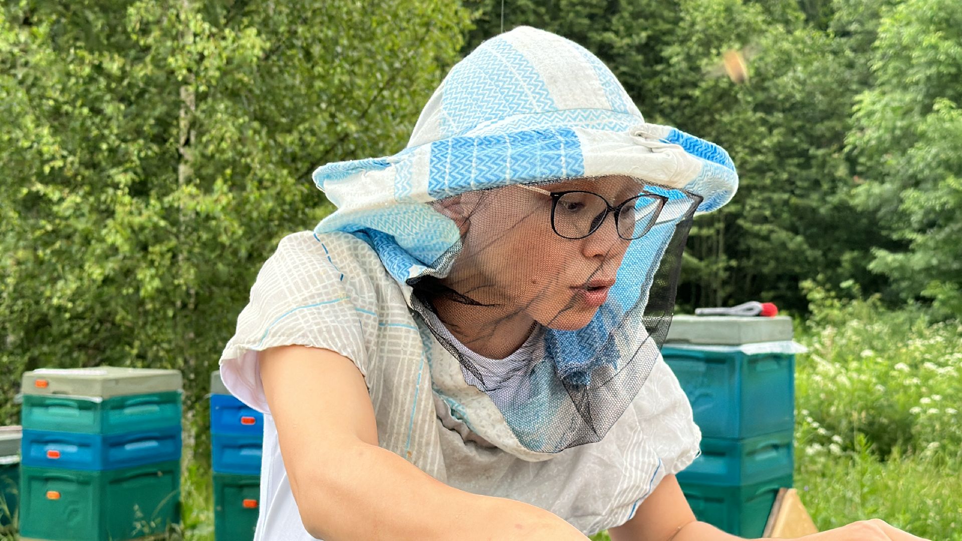 Клин, общество, экономика, фермеры, пчелы,