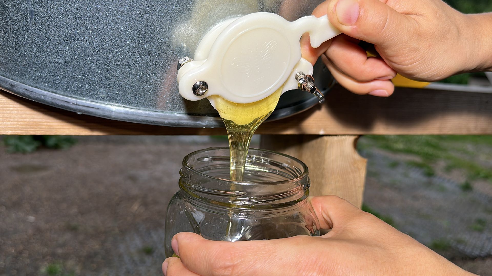 Клин, общество, экономика, фермеры, пчелы,