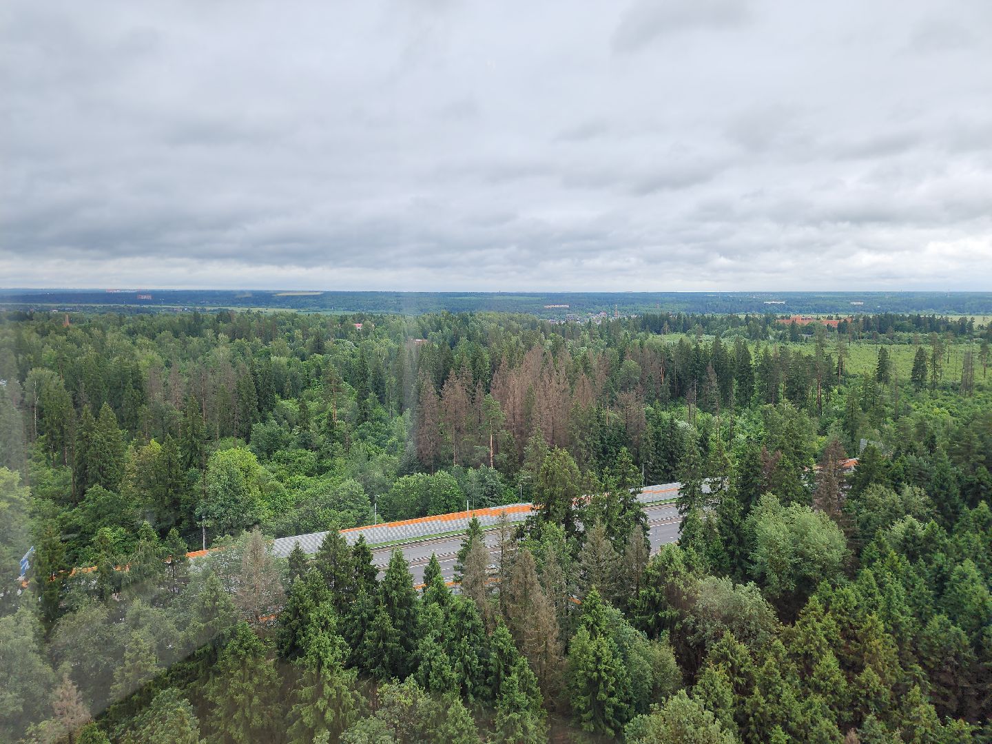 звенигород, Спорт,