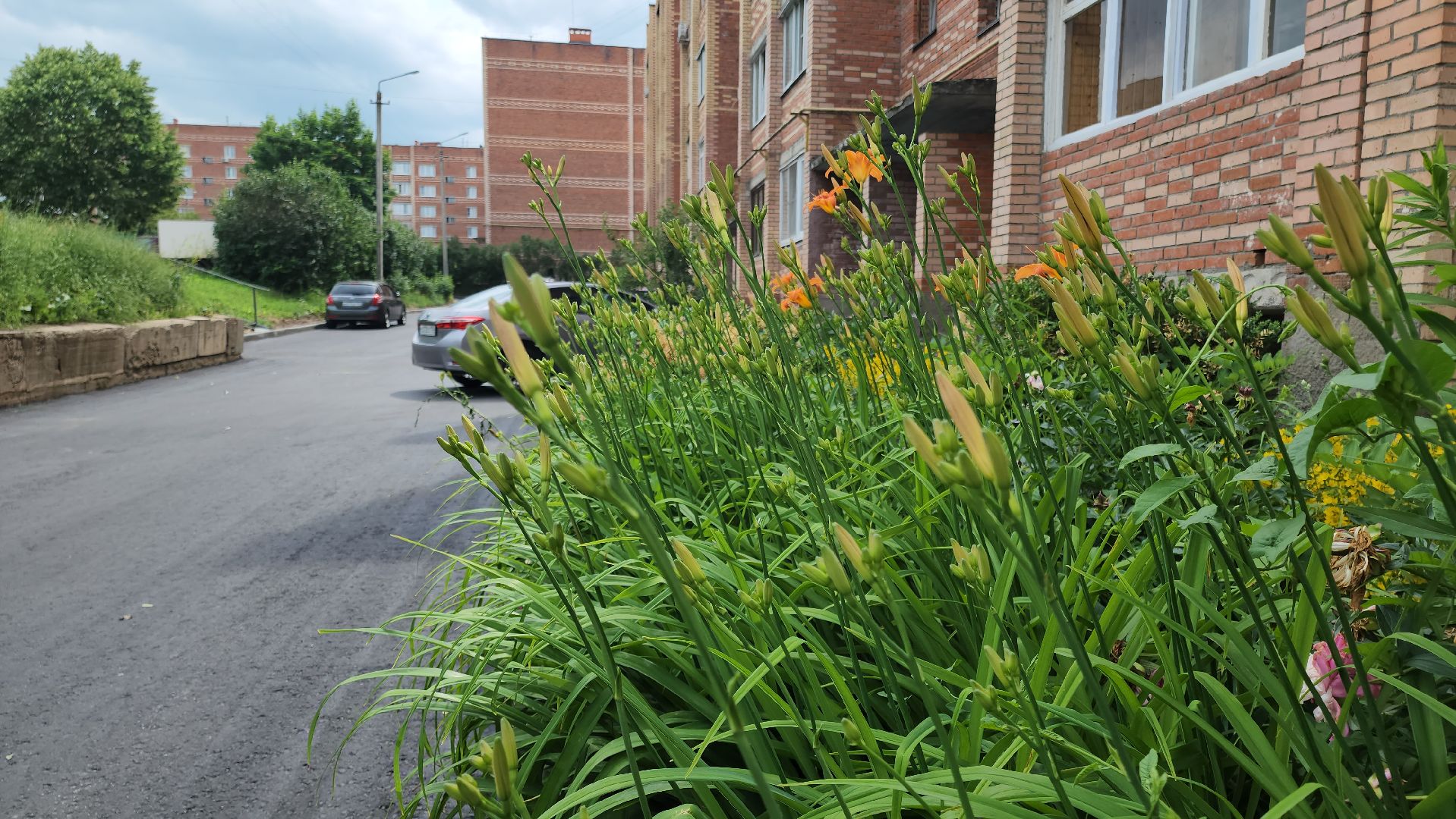 кашира, комплексное благоустройство, дворовая территория, парковка, троутар, водоотведение, озеленение, клумбы,