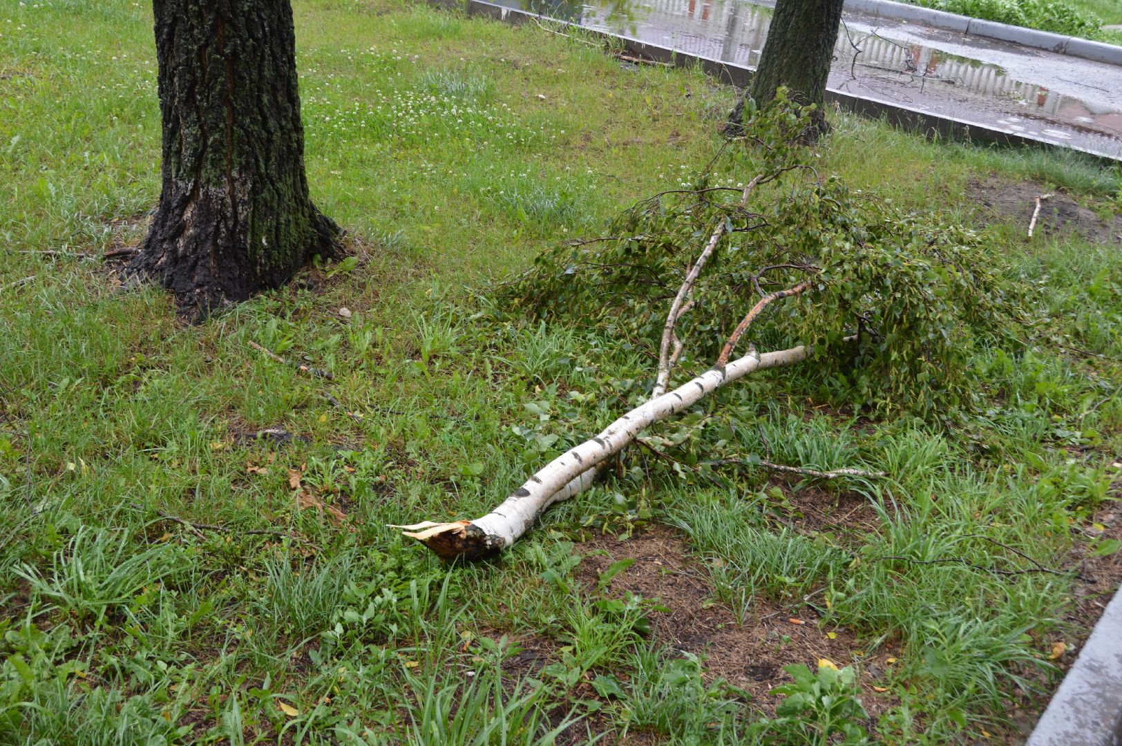 ЧП, шатура, тропический ливень, погода,