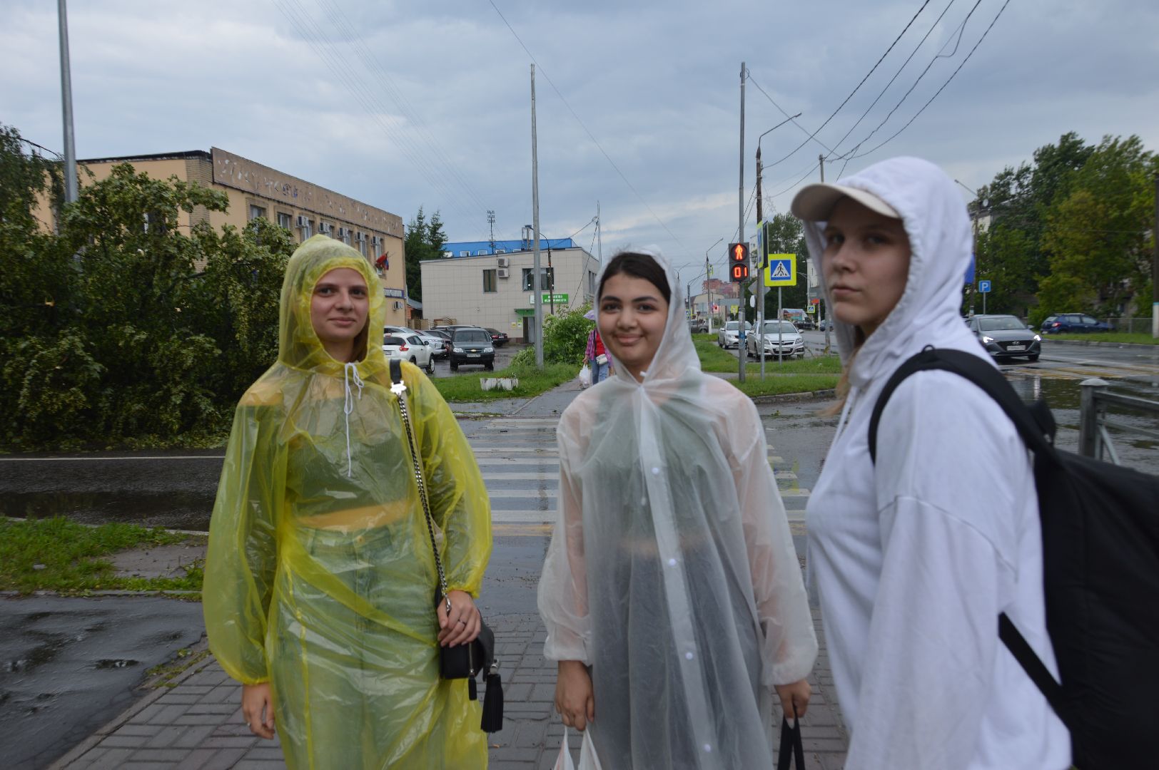 ЧП, шатура, тропический ливень, погода,