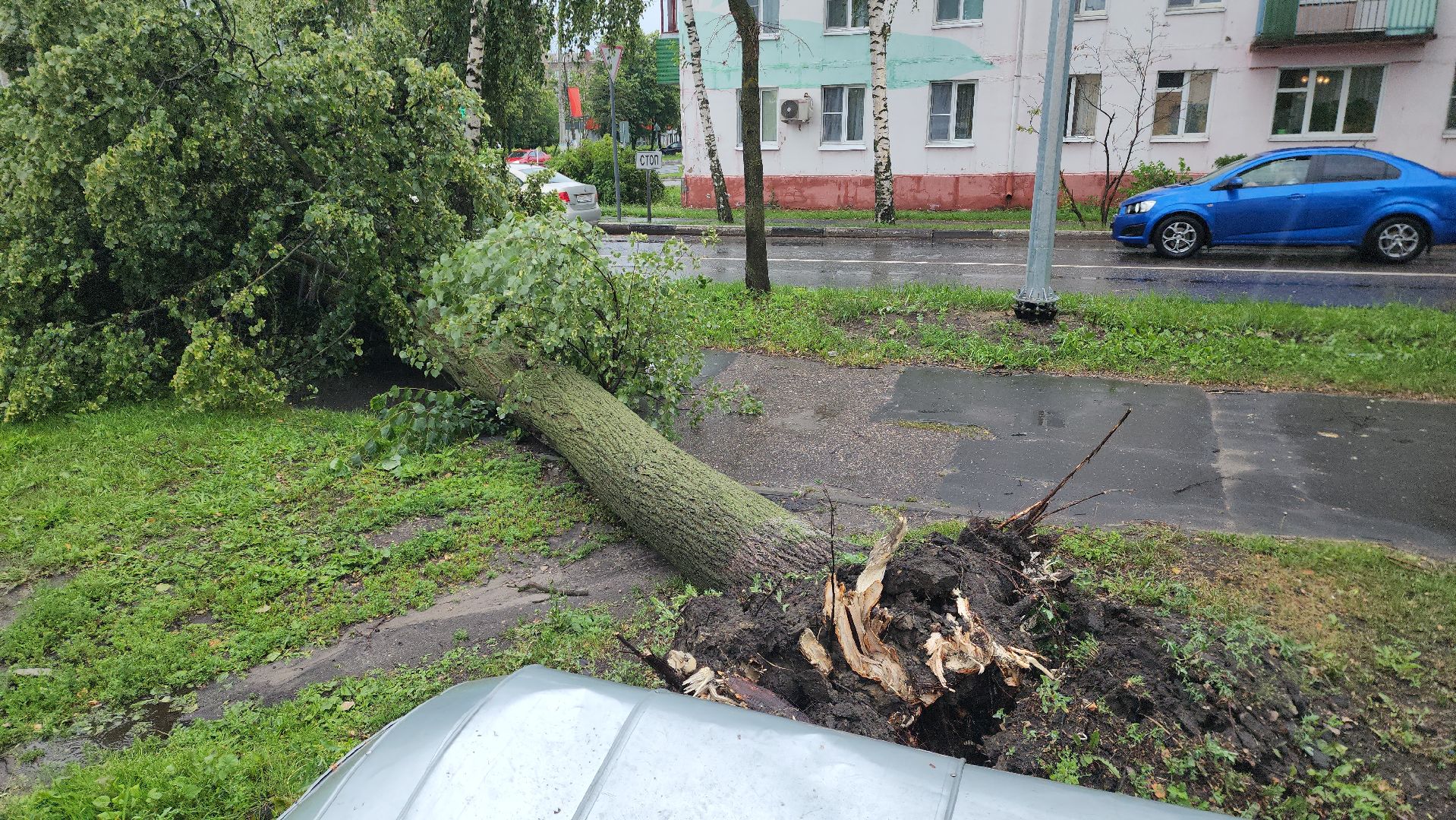 ЧП, шатура, тропический ливень, погода,
